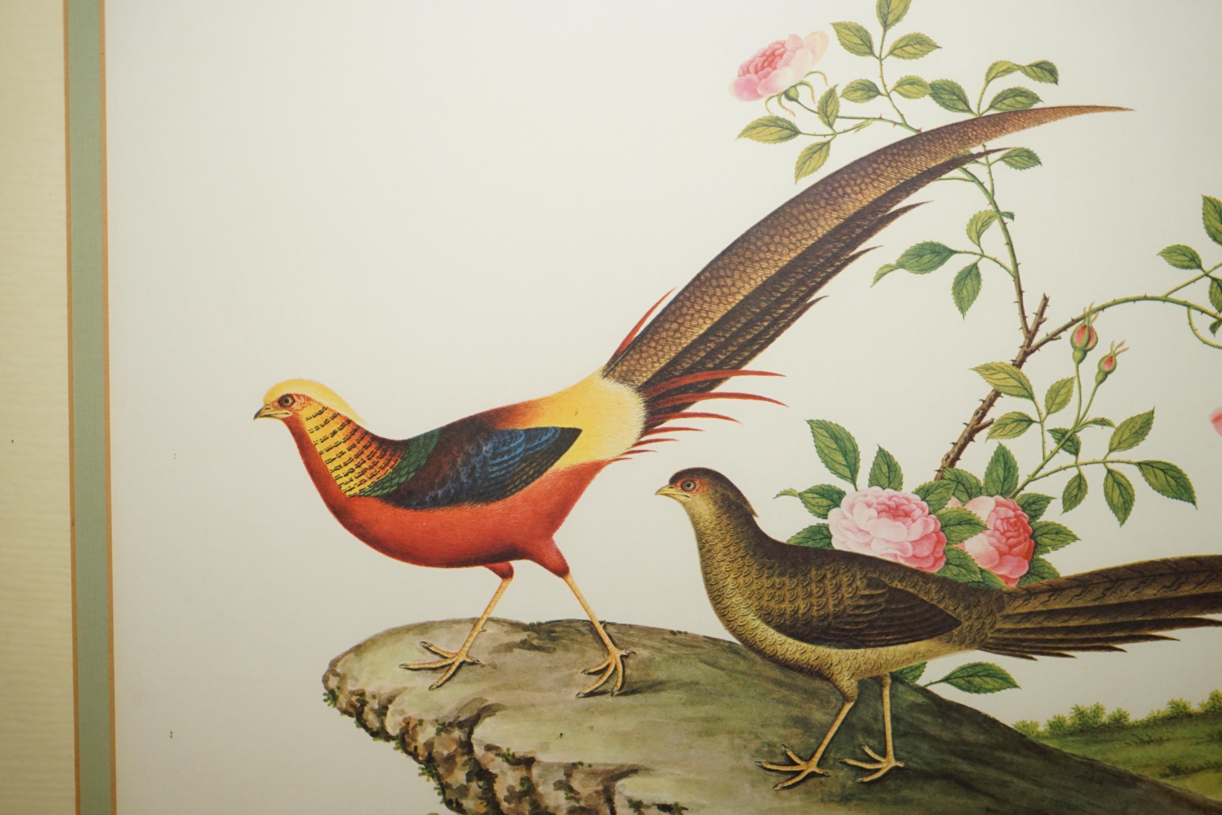 VIER CHINESISCHE CH'IEN LUNG PERIOD 1736-1796 WASSERKOLORIE VOGELBILDER GERAHMT (Chinesisch) im Angebot