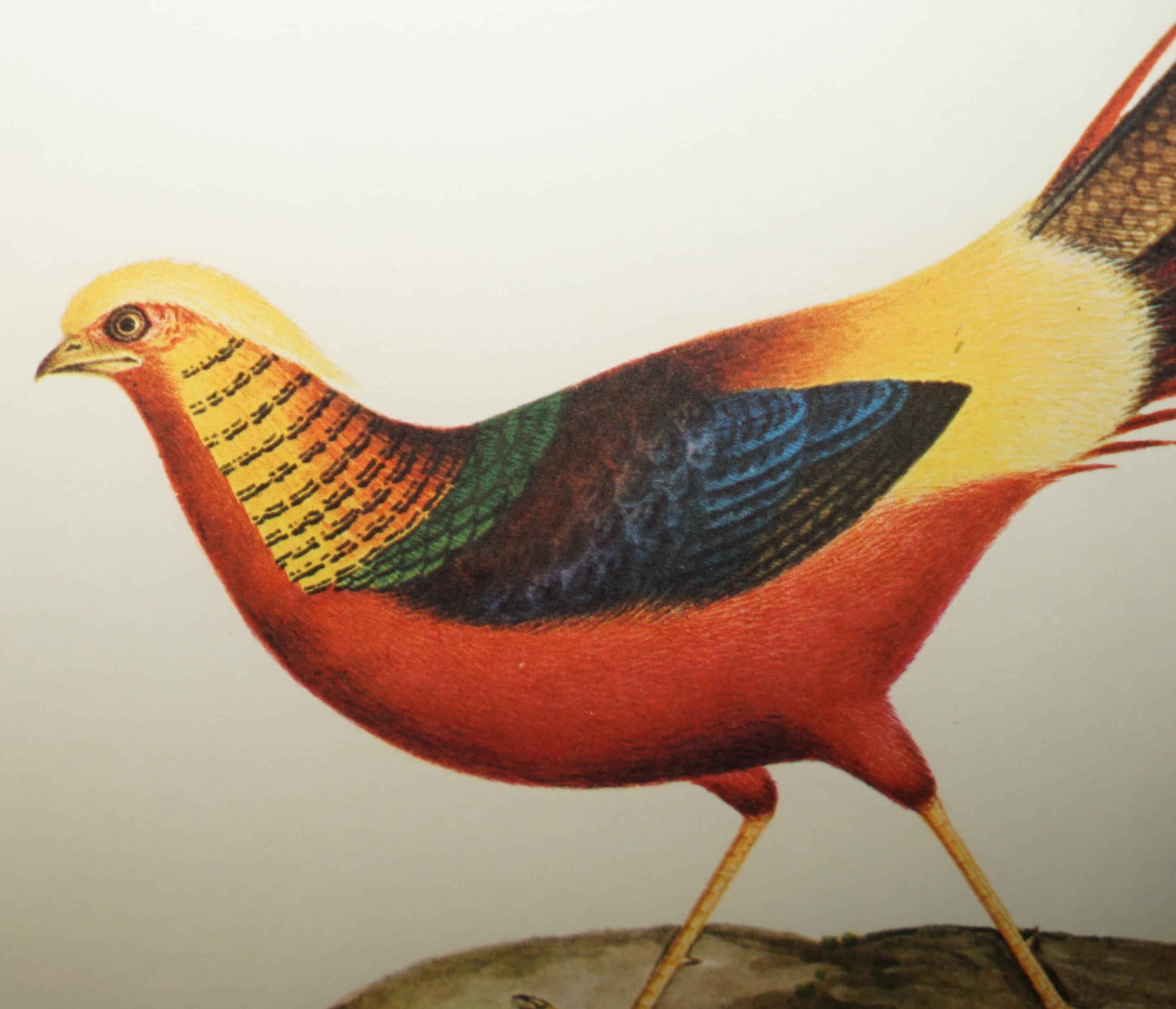 VIER CHINESISCHE CH'IEN LUNG PERIOD 1736-1796 WASSERKOLORIE VOGELBILDER GERAHMT (Handgefertigt) im Angebot