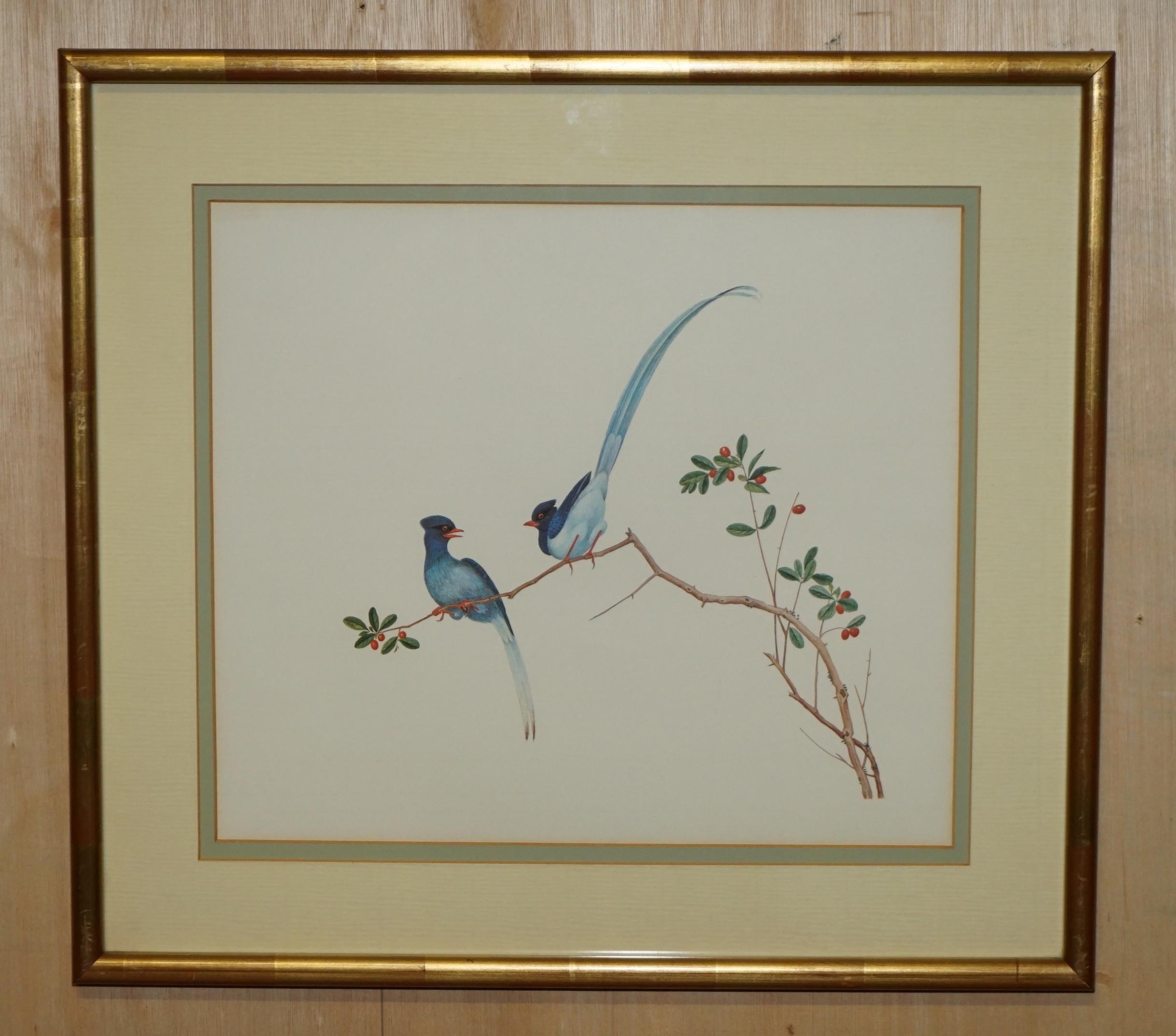 VIER CHINESISCHE CH'IEN LUNG PERIOD 1736-1796 WASSERKOLORIE VOGELBILDER GERAHMT im Zustand „Gut“ im Angebot in West Sussex, Pulborough
