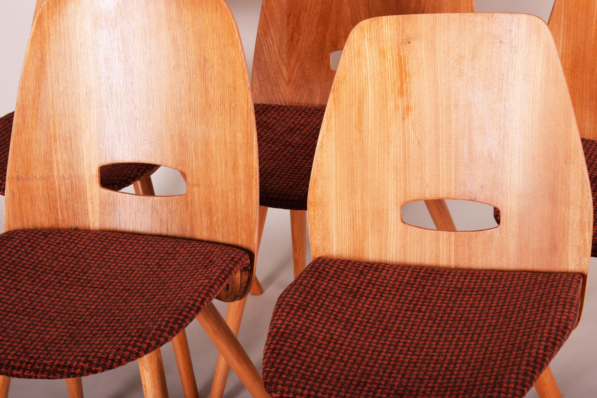 Mid-Century Modern Cinq chaises de salle à manger tchèques du milieu du siècle, fabriquées dans les années 1950 par Tatra Nbytok, Jirk en vente