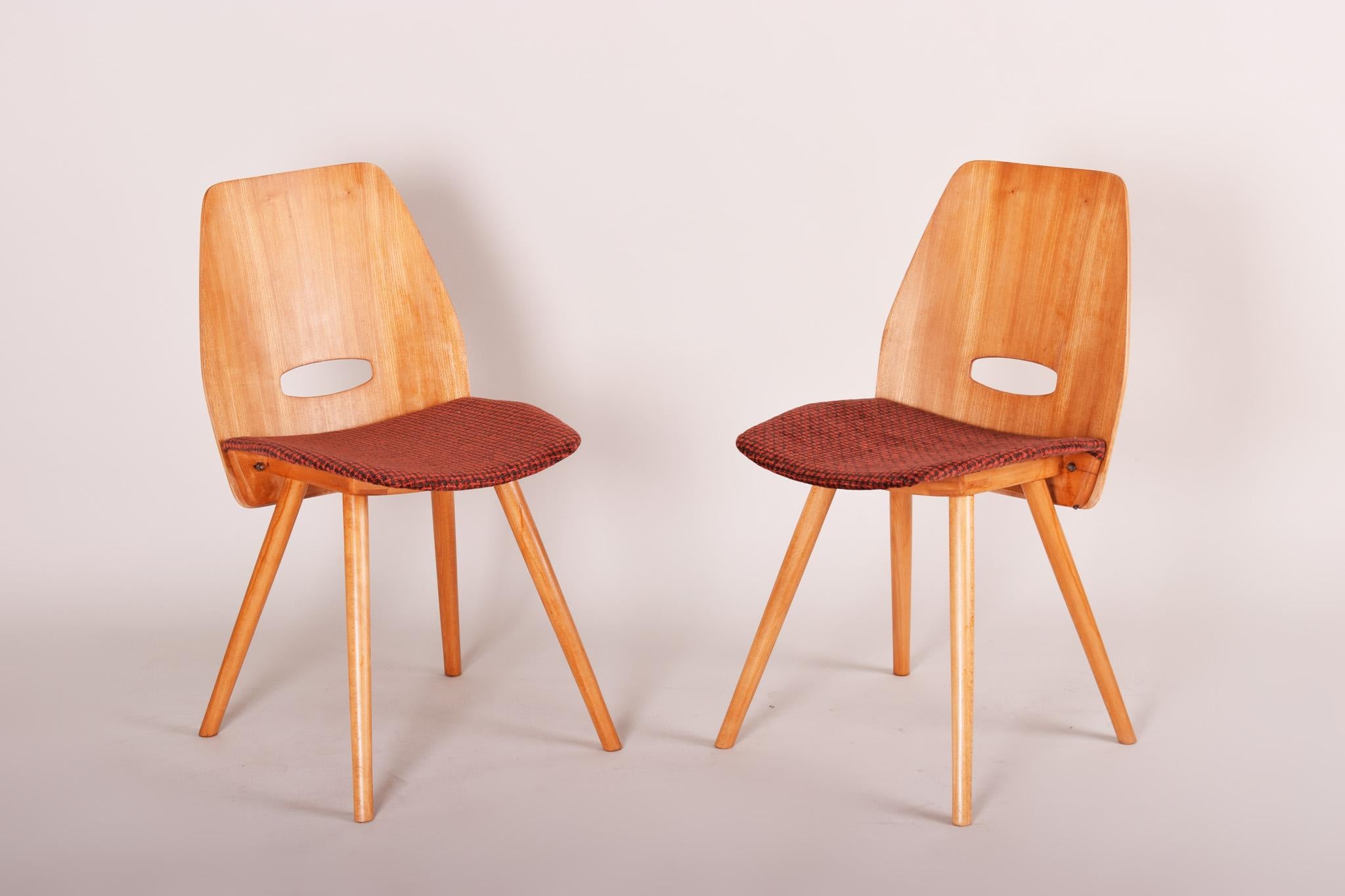 Cinq chaises de salle à manger tchèques du milieu du siècle, fabriquées dans les années 1950 par Tatra Nbytok, Jirk Bon état - En vente à Brandys nad Labem, Středočeský kraj