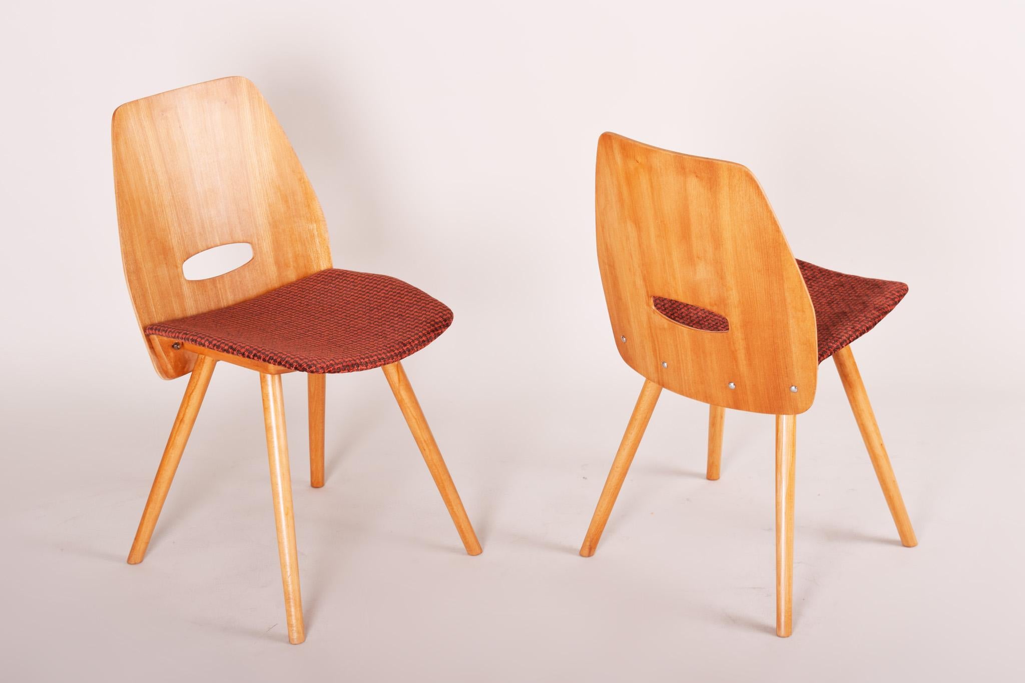 Cinq chaises de salle à manger tchèques du milieu du siècle, fabriquées dans les années 1950 par Tatra Nbytok, Jirk en vente 1