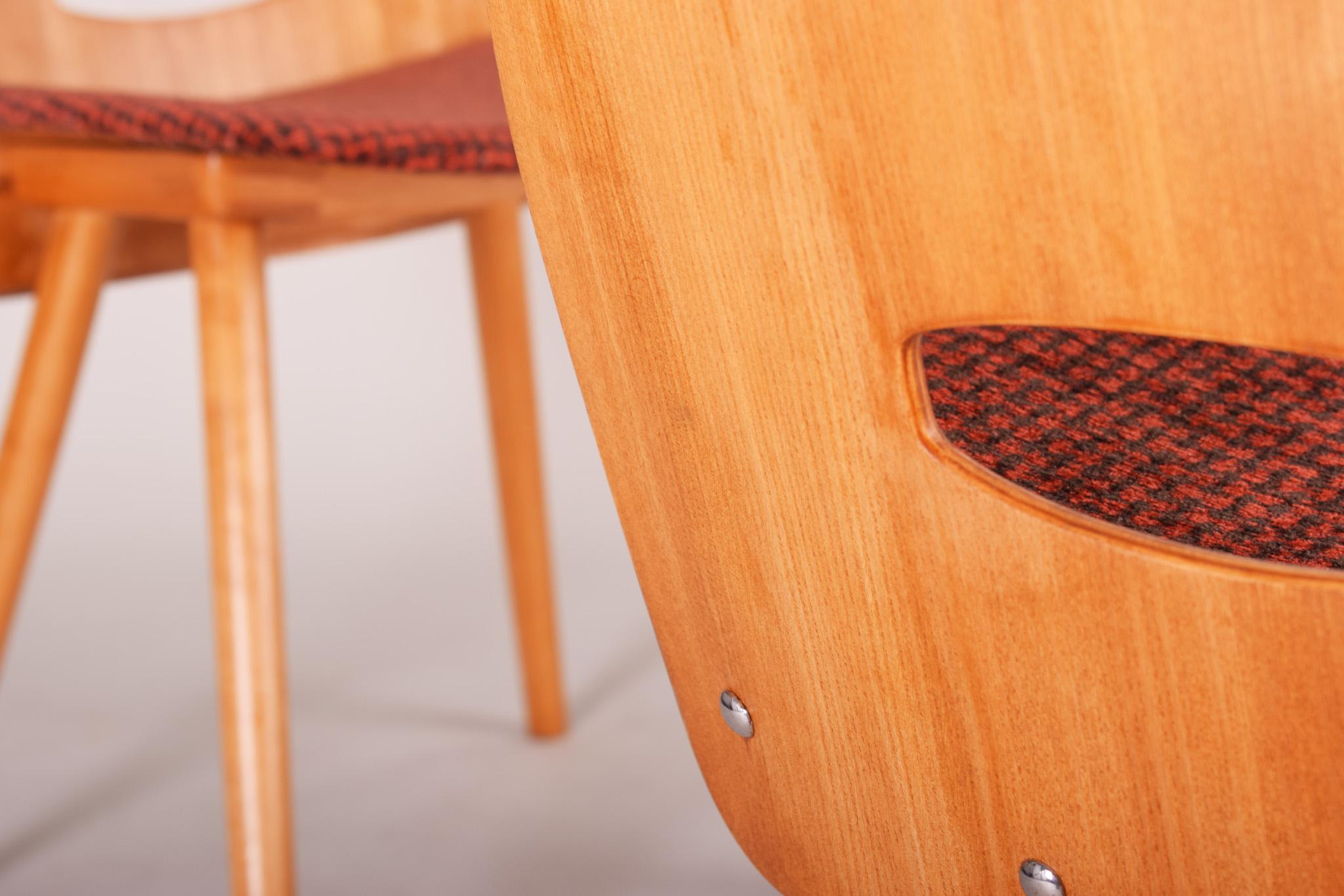 Cinq chaises de salle à manger tchèques du milieu du siècle, fabriquées dans les années 1950 par Tatra Nbytok, Jirk en vente 2
