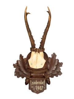 Five Deer Antler Mount Trophy Black Forest Carved Wood Plaque German Folk Art