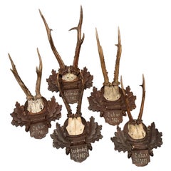 Monture en bois de cinq cerfs Trophée Black Forest Plaque en bois sculpté German Folk Art 