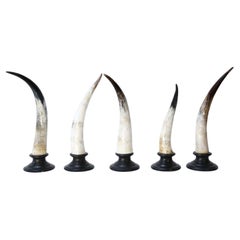 Fünf Horn-Skulpturen