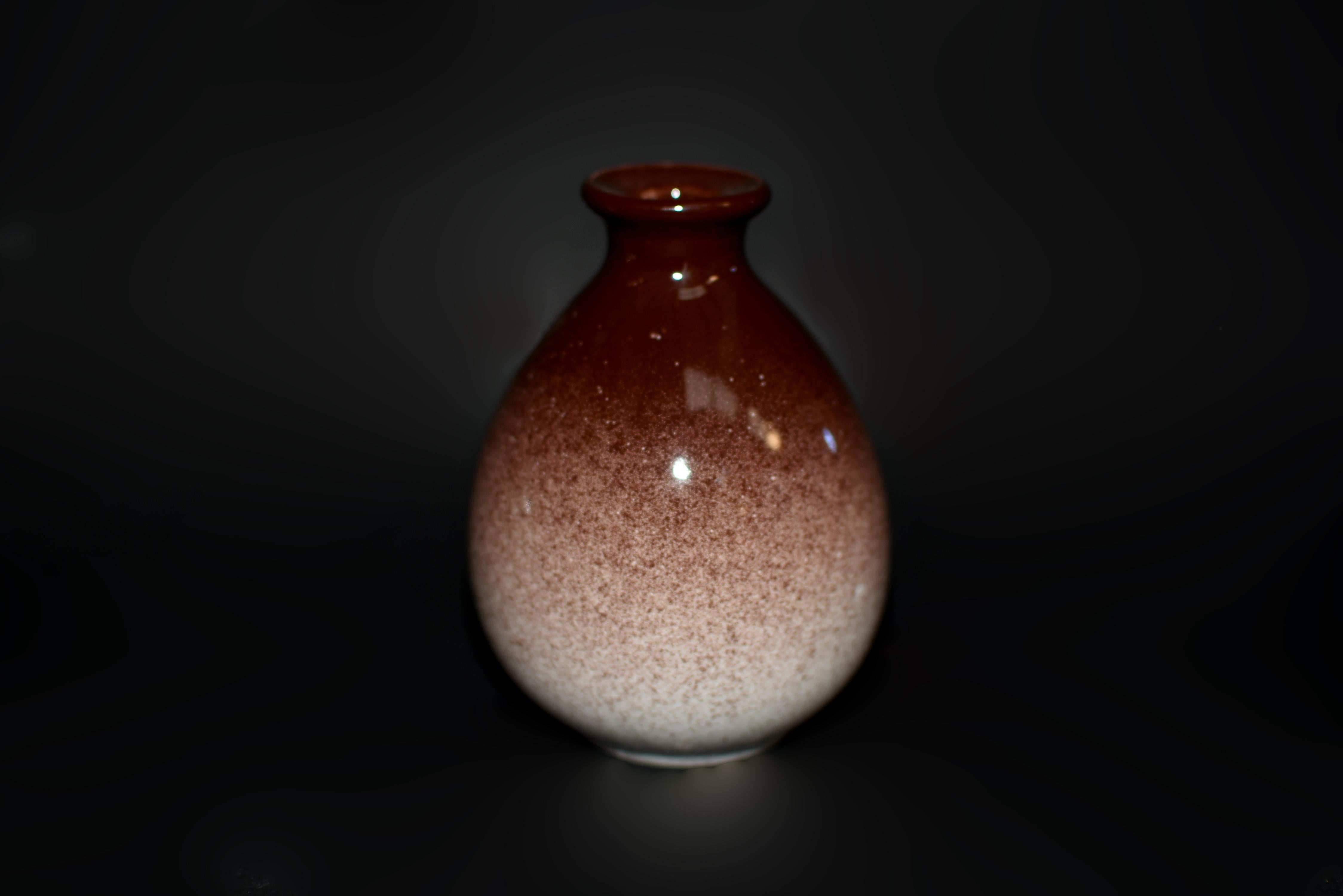 Cinque bottiglie di vino in ceramica giapponese Jian Vases Red Gradient in vendita 9