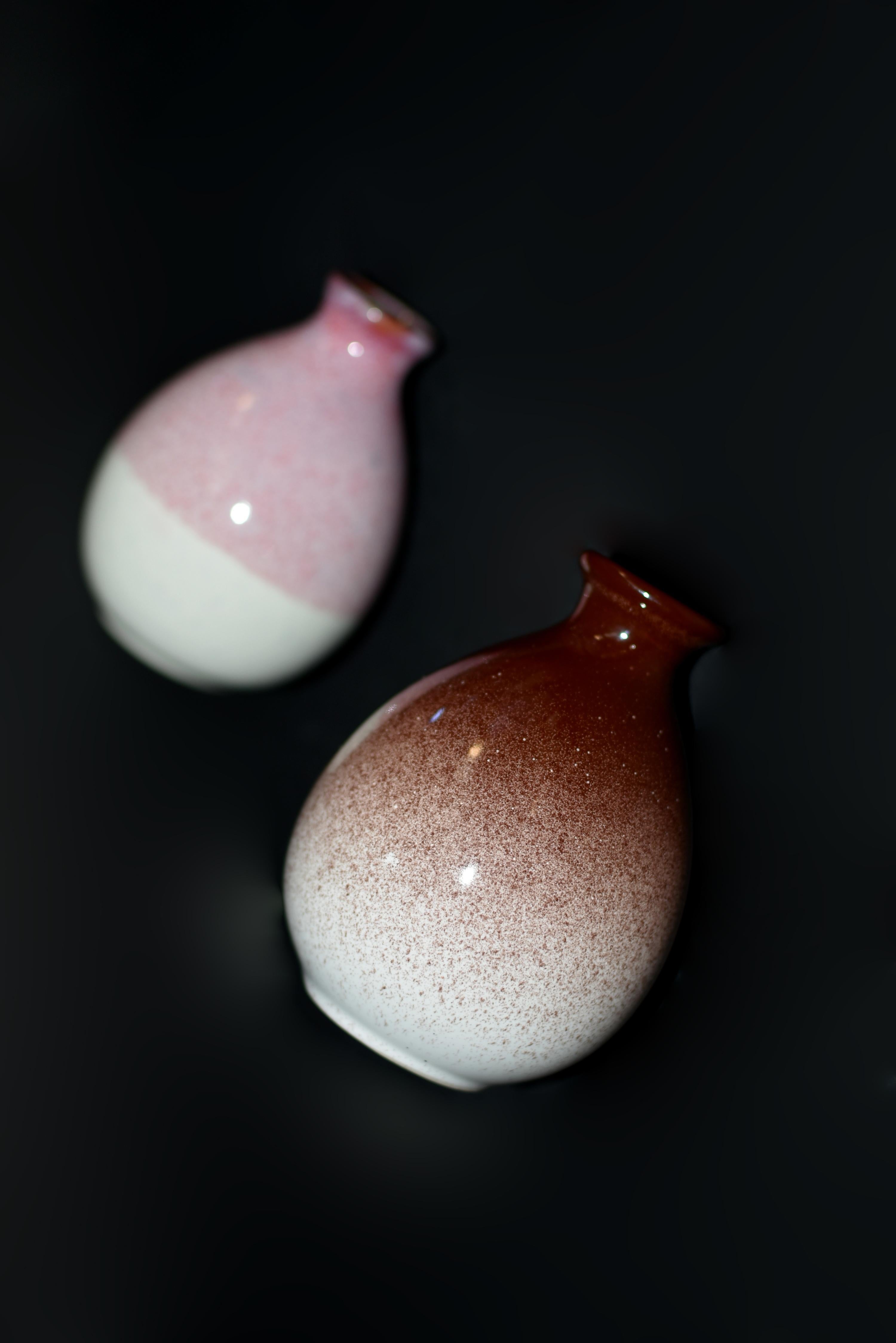 Cinque bottiglie di vino in ceramica giapponese Jian Vases Red Gradient in vendita 13