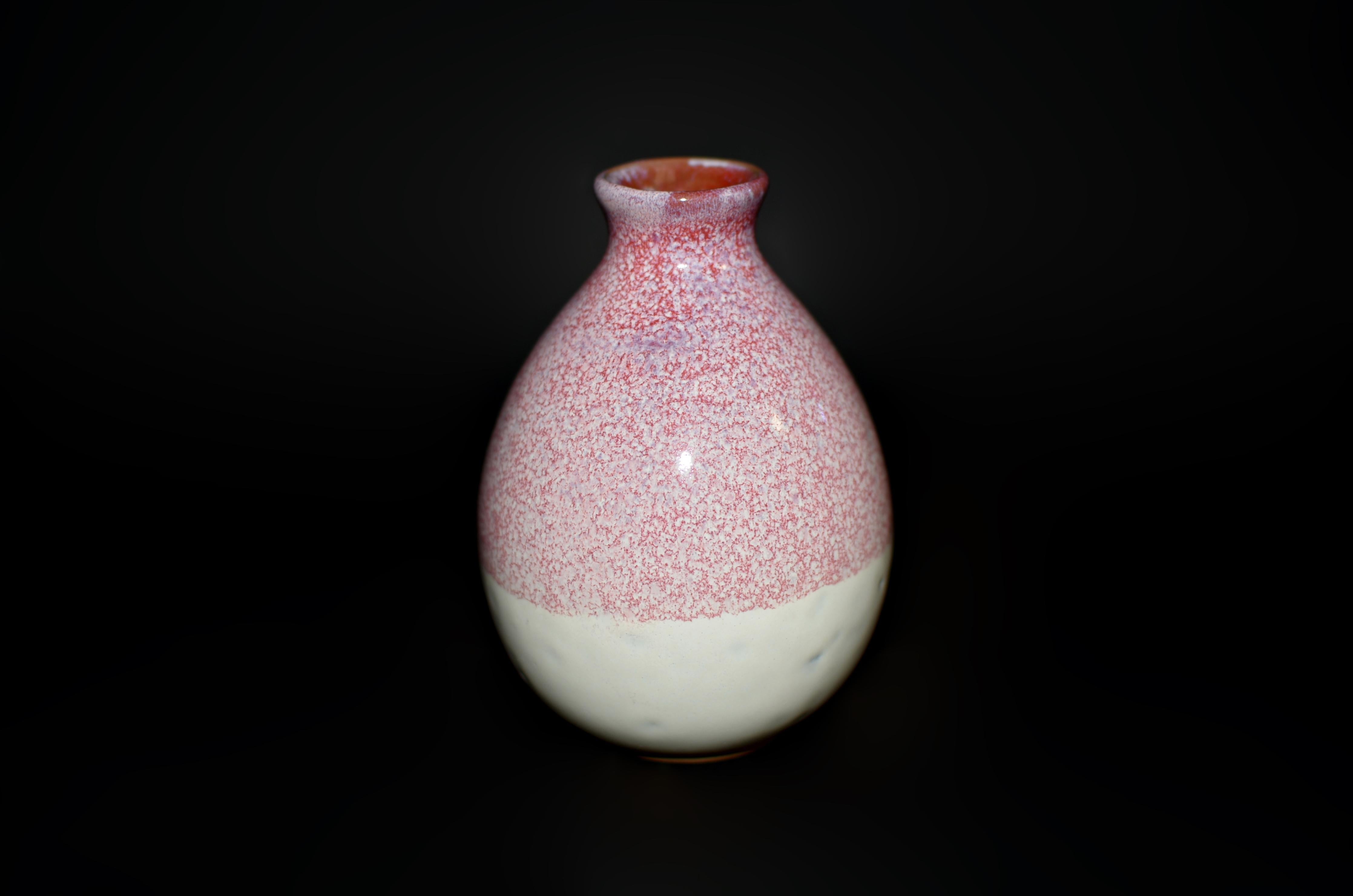 Porcellana Cinque bottiglie di vino in ceramica giapponese Jian Vases Red Gradient in vendita