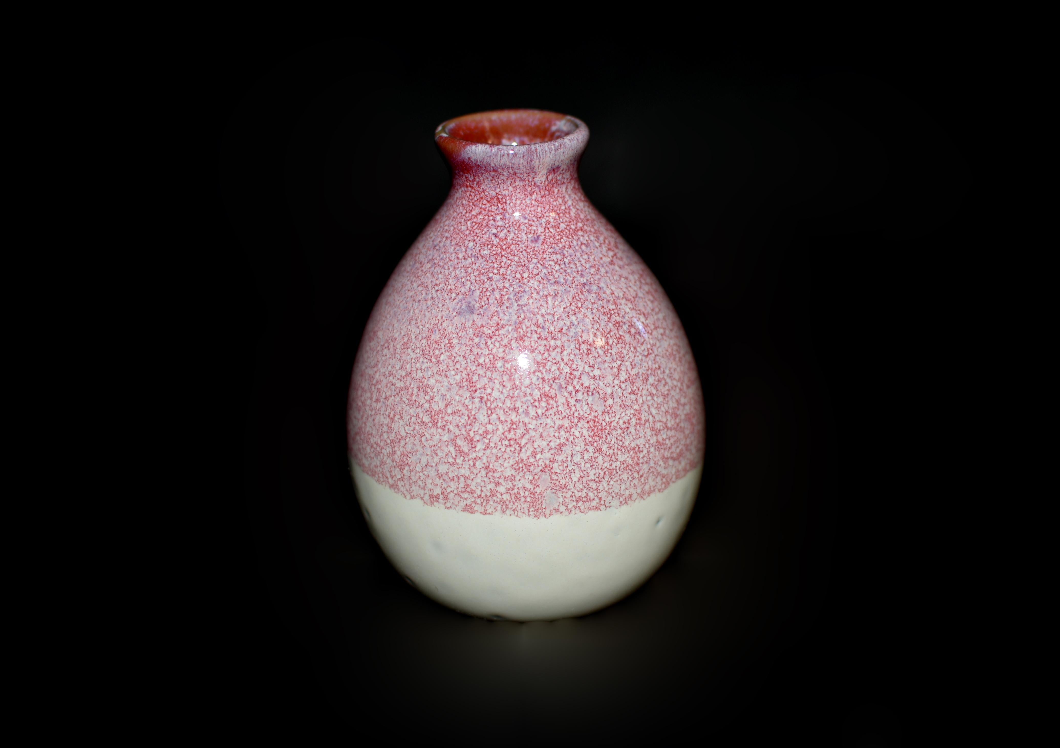 Cinque bottiglie di vino in ceramica giapponese Jian Vases Red Gradient in vendita 1