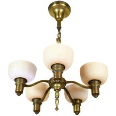 Five-Light Hammered Brass Chandelier with Leafy Shades