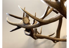 Five Light Natural Antler Chandelier