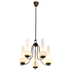 Lustre à cinq lumières en verre opalin et laiton de Stilnovo