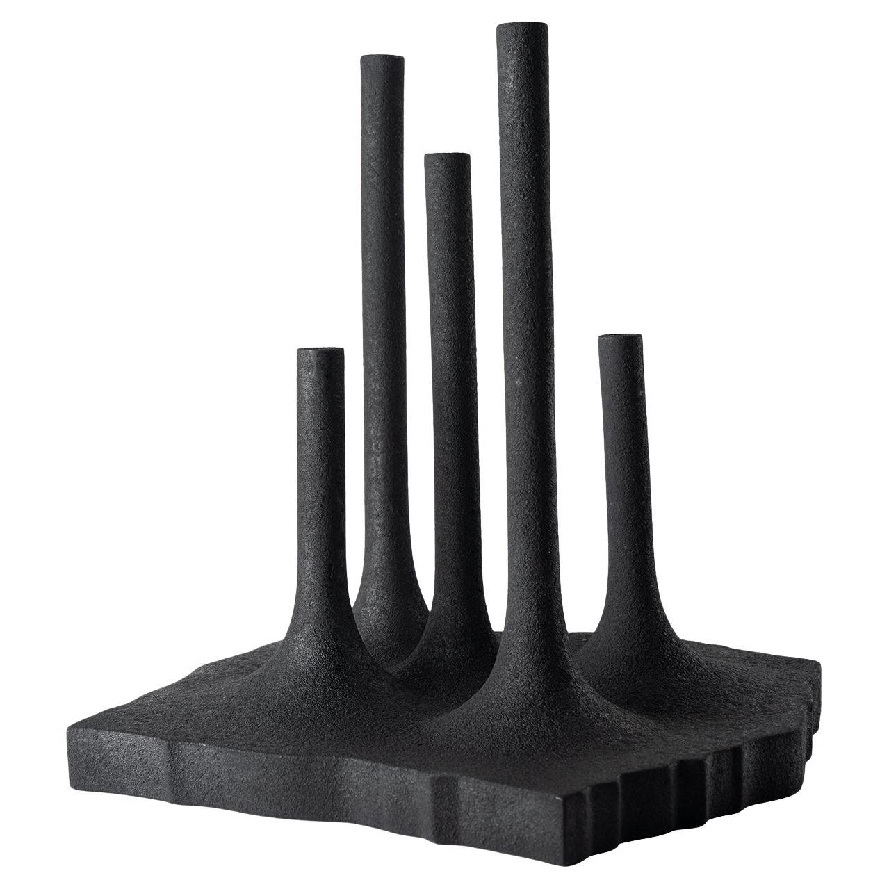Five Stems Black Vase by Fabio Novembre in vendita