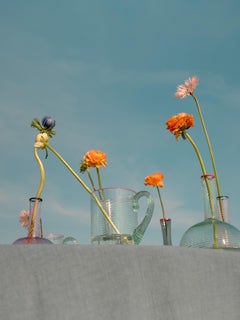 FIZZY decanter in green with pink glass rim, by Giberto Venezia