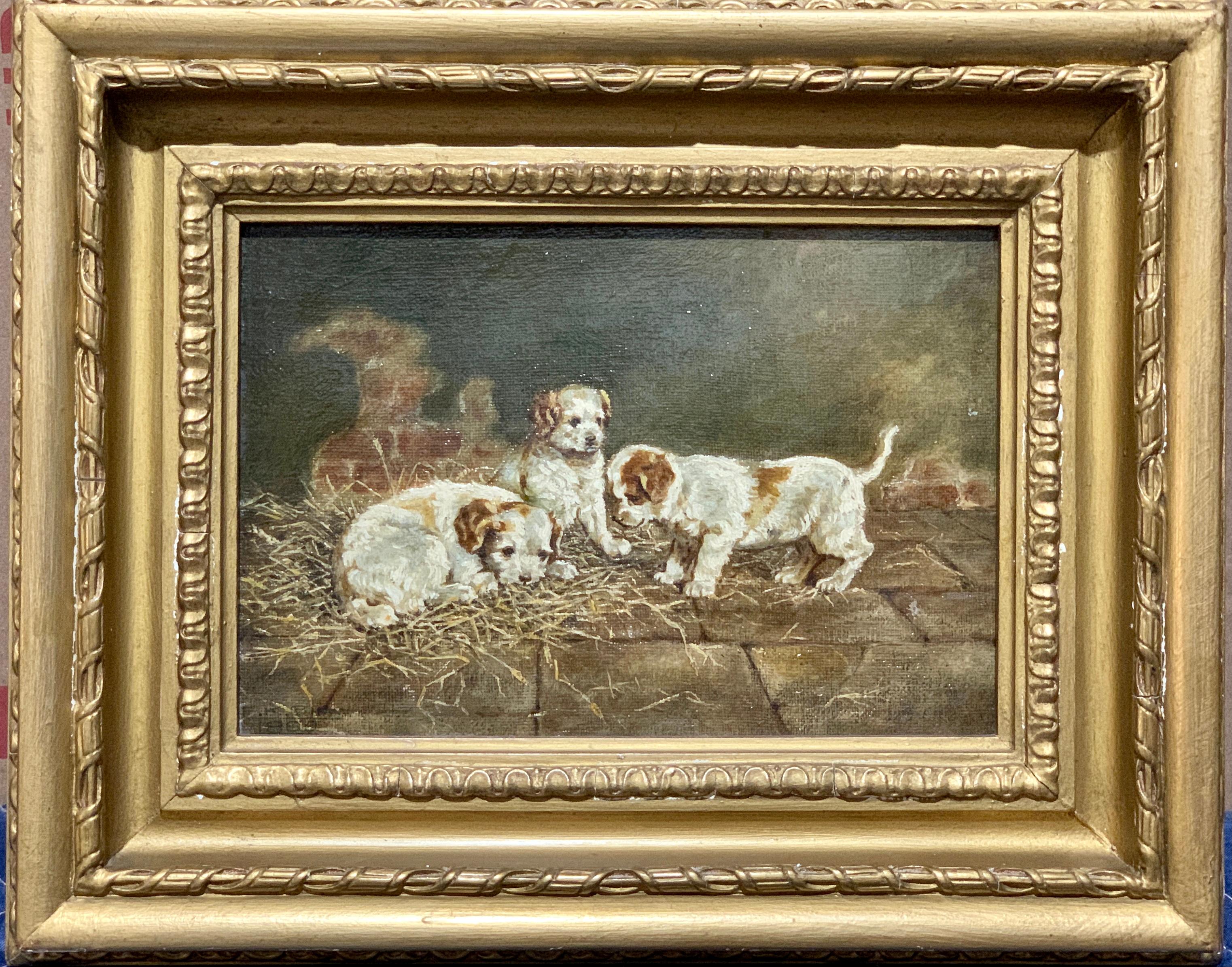 19th century English portrait of 3 Jack Russel puppies playing in an interior - Painting by F.K.Shaw