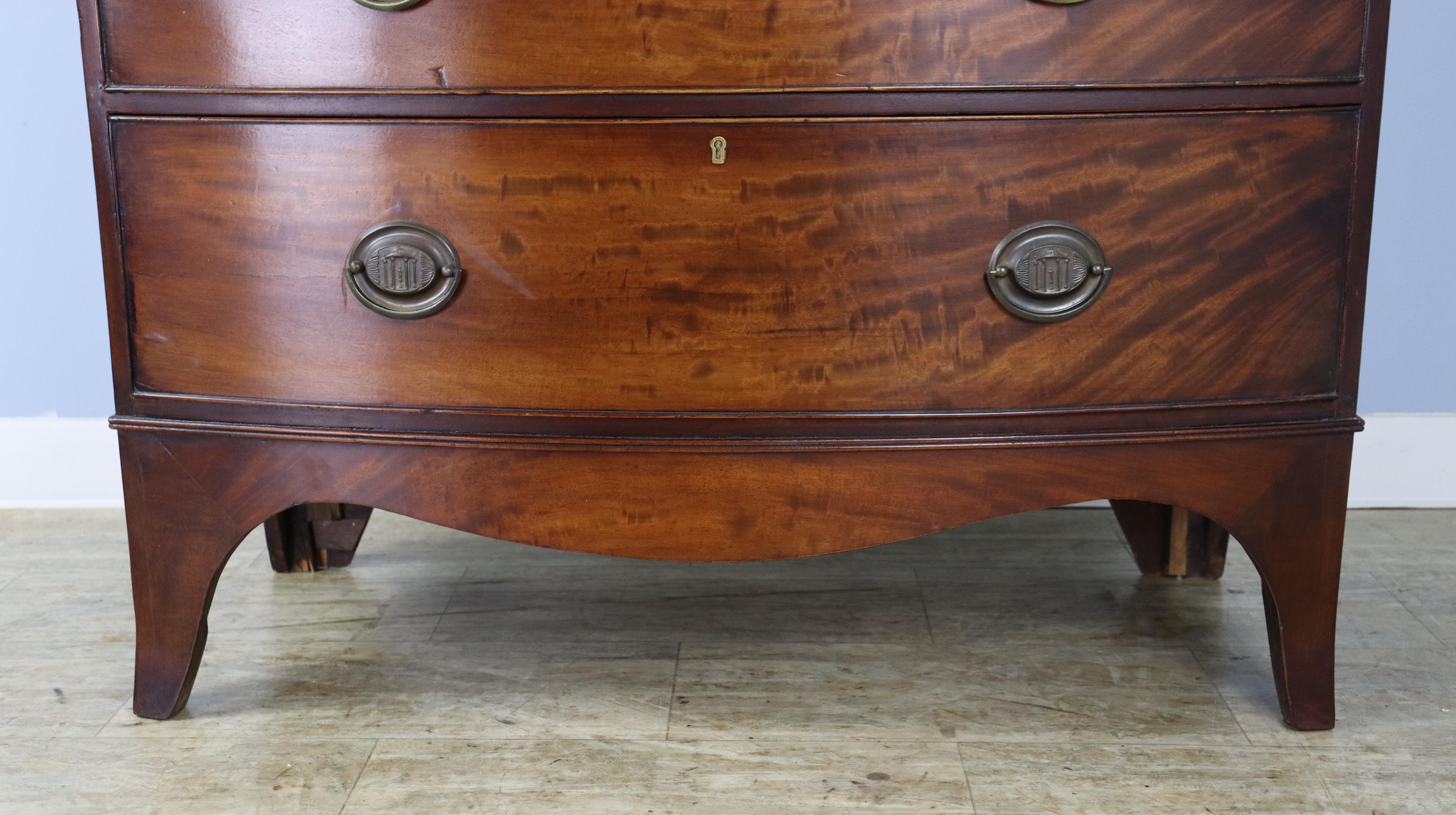 Flame Mahogany Regency Bowfront Chest of Drawers with Splayed Feet For Sale 3