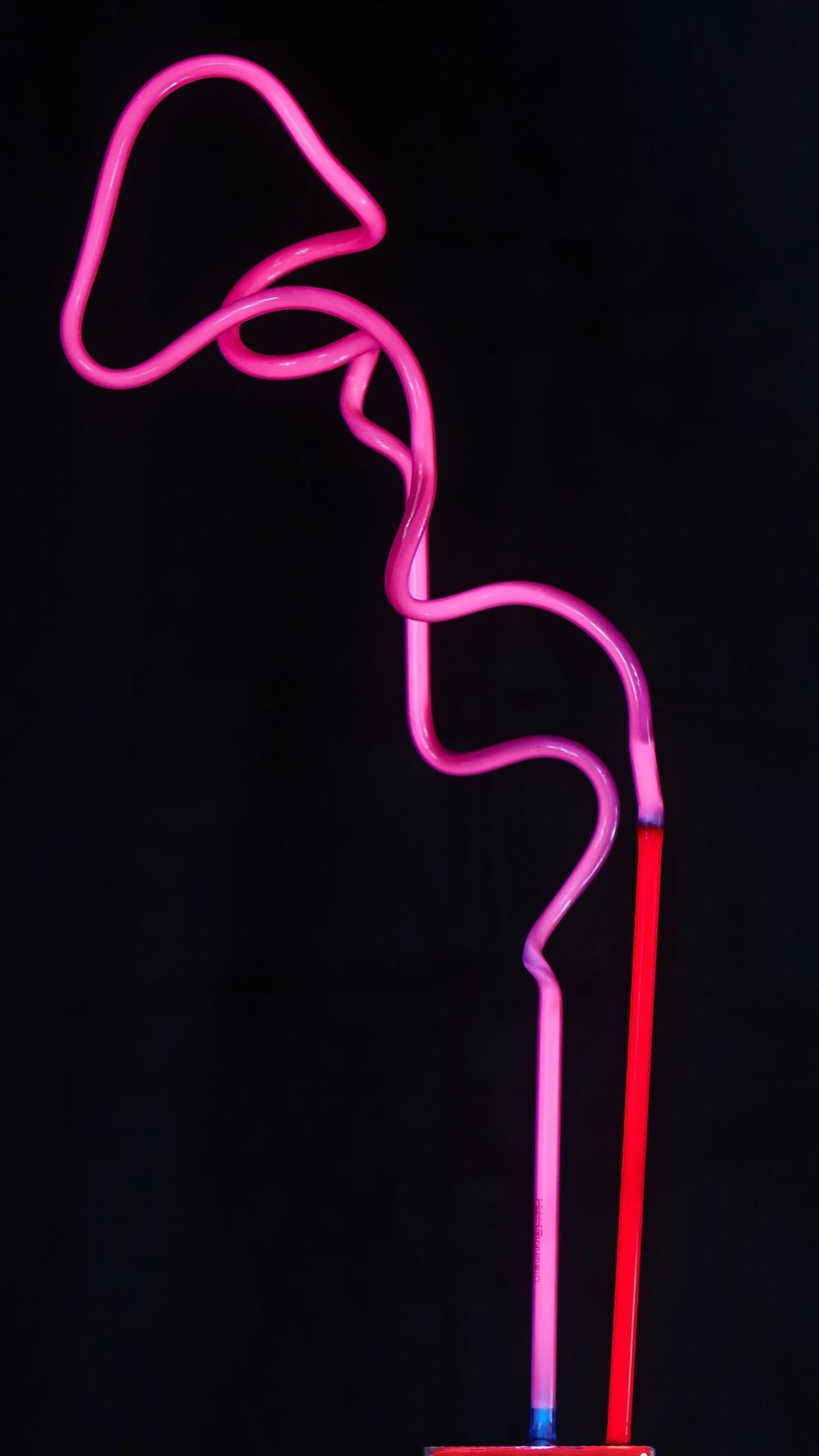 ‘Flamingo’ Neon Lamp in Hot Pink and Ruby Red Neon Glass, Handmade Modern For Sale 6