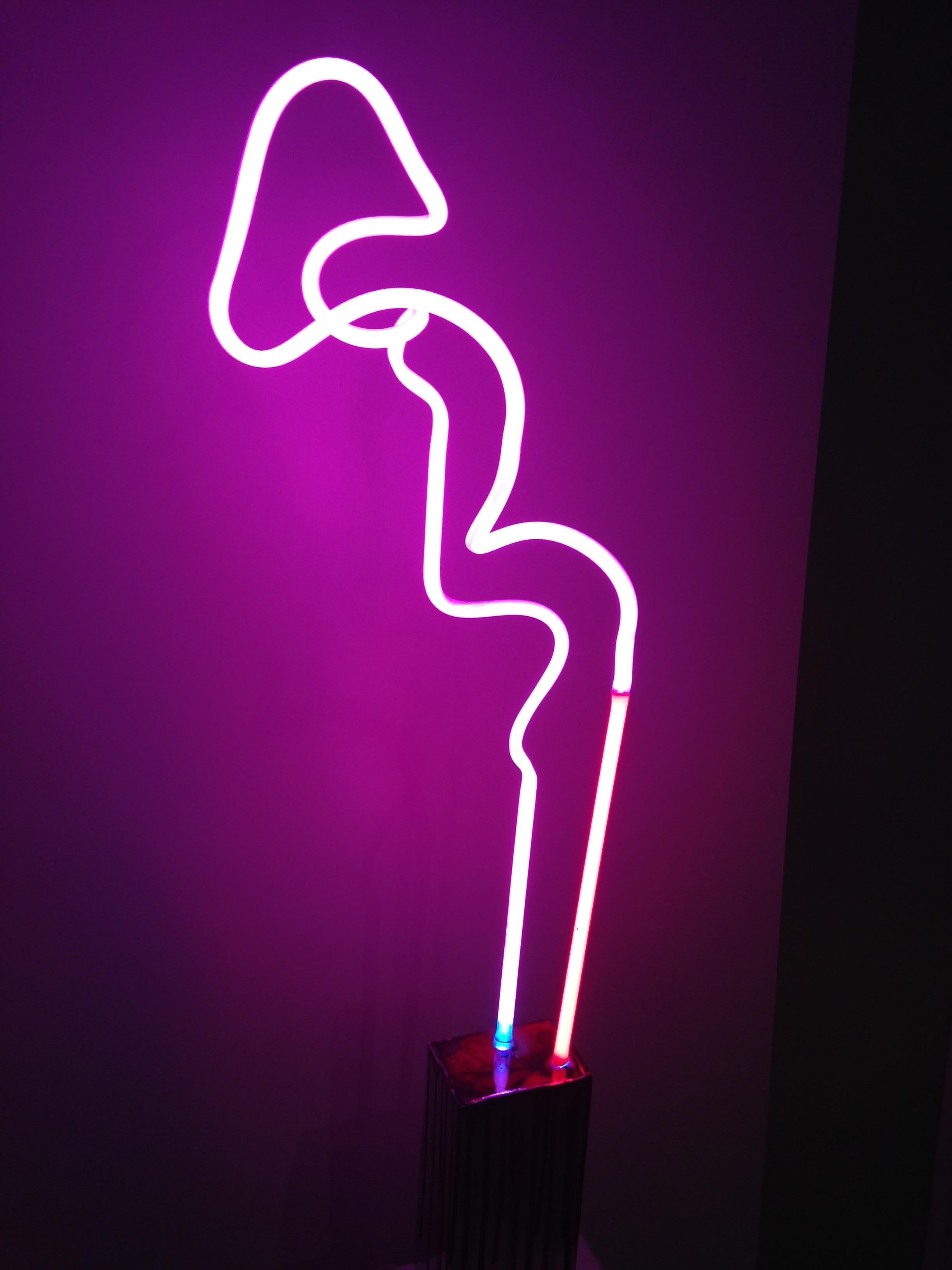 American ‘Flamingo’ Neon Lamp in Hot Pink and Ruby Red Neon Glass, Handmade Modern For Sale