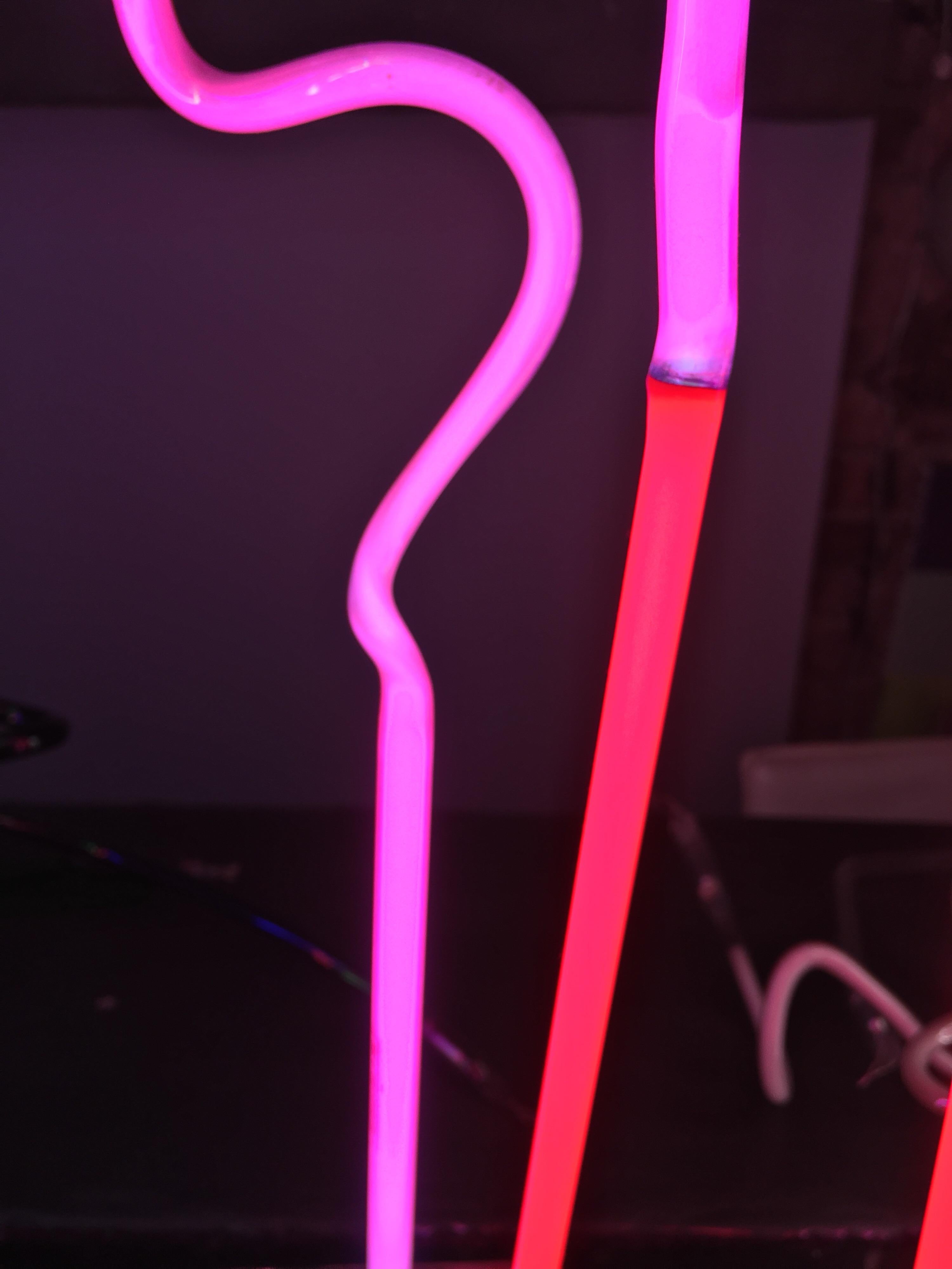 ‘Flamingo’ Neon Lamp in Hot Pink and Ruby Red Neon Glass, Handmade Modern In New Condition For Sale In Brooklyn, NY