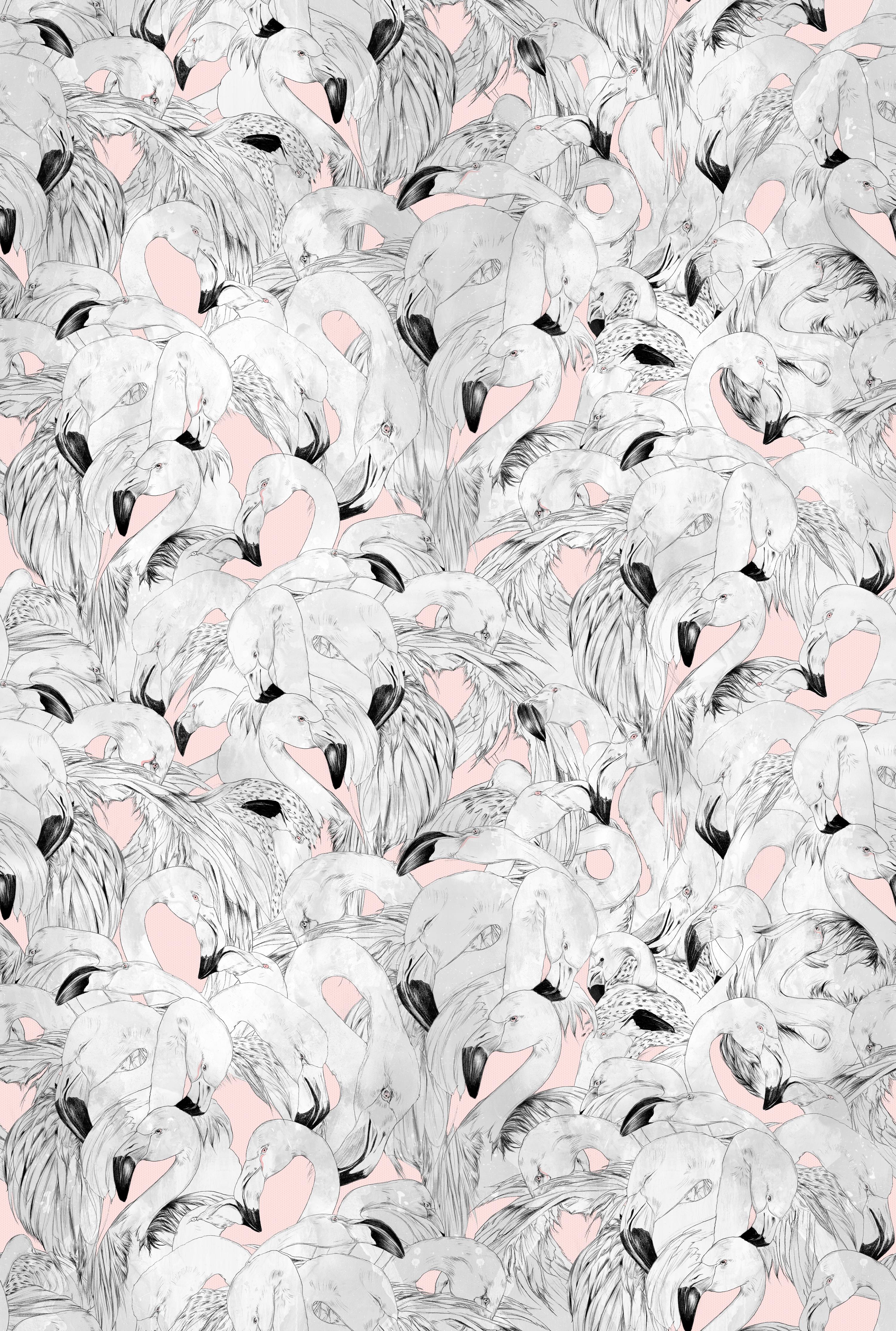 Contemporary Flamingo Wallpaper in Pink by 17 Patterns For Sale