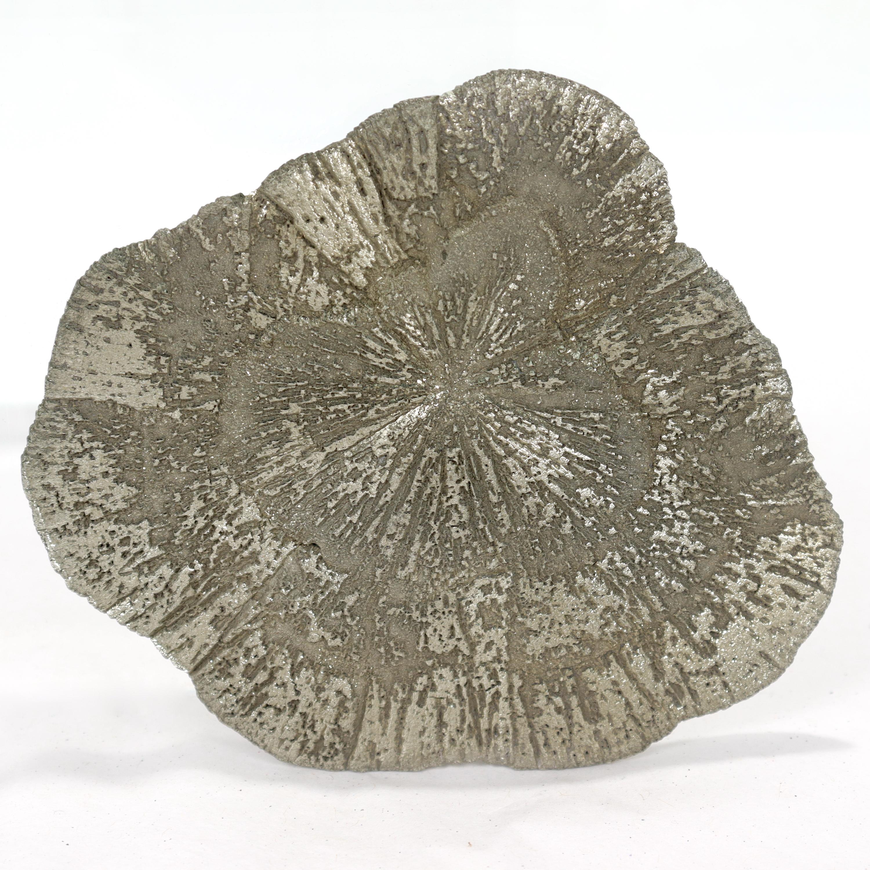 Flat Pyrite Crystal Specimen Paperweight In Good Condition For Sale In Philadelphia, PA
