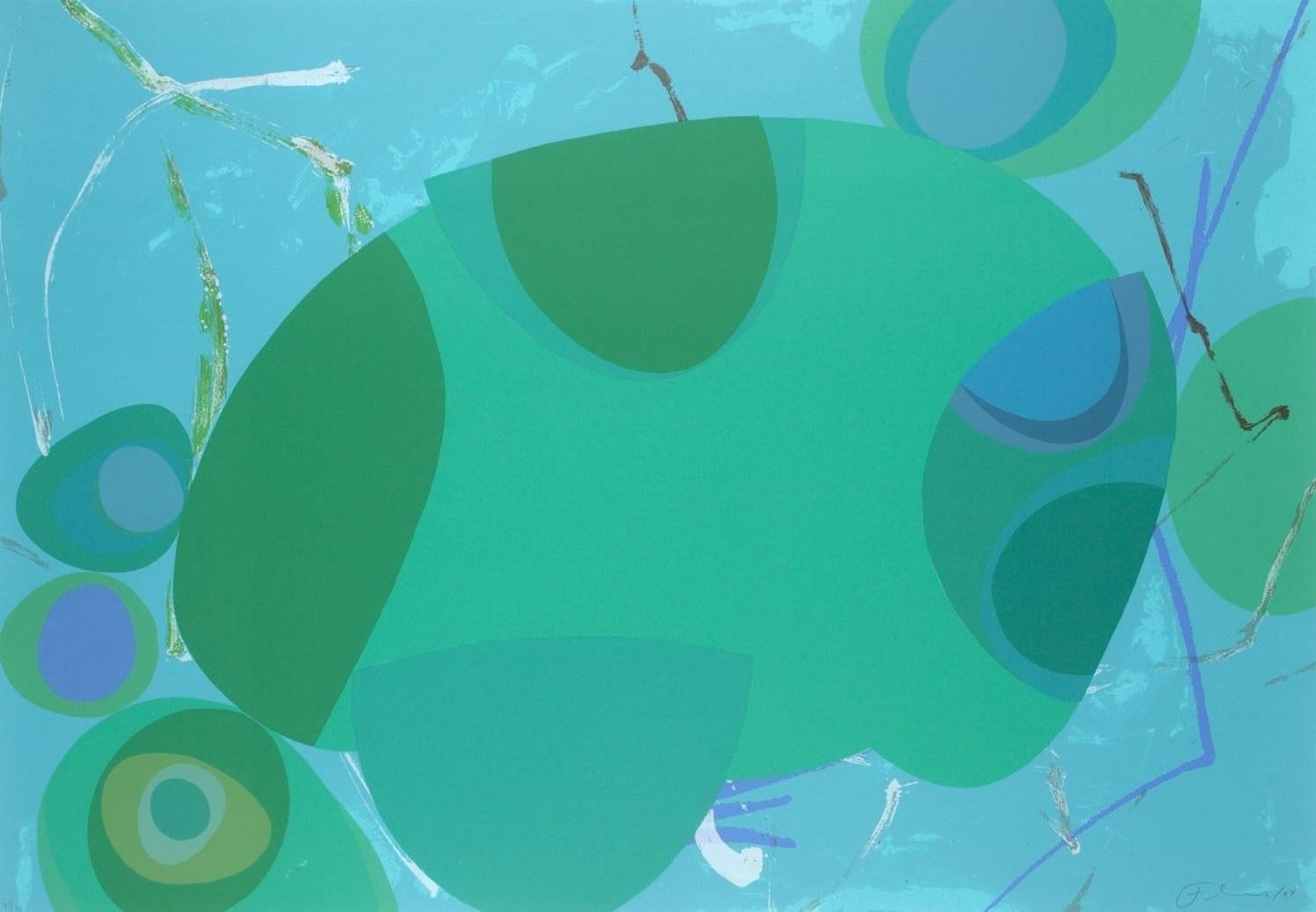 Untitled VI, 2004 Serigrafia originale firmata 27x39in Arte astratta concettuale - Print di Flavio Garciandia