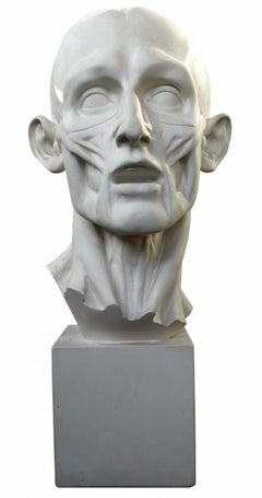 FLAYED MAN BY JEAN-ANTOINE HOUDON - PLASTER CAST 20th Century