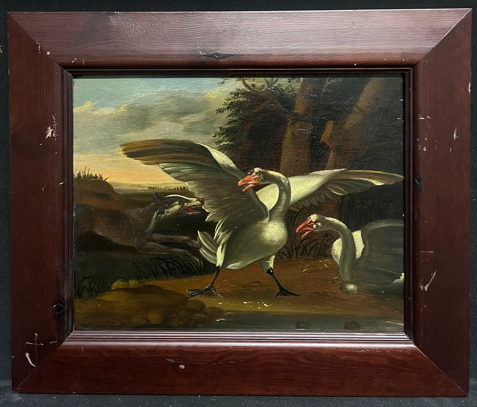 Antique Flemish 18th Century Oil Painting Swans Frightened by Dog in Landscape For Sale 1