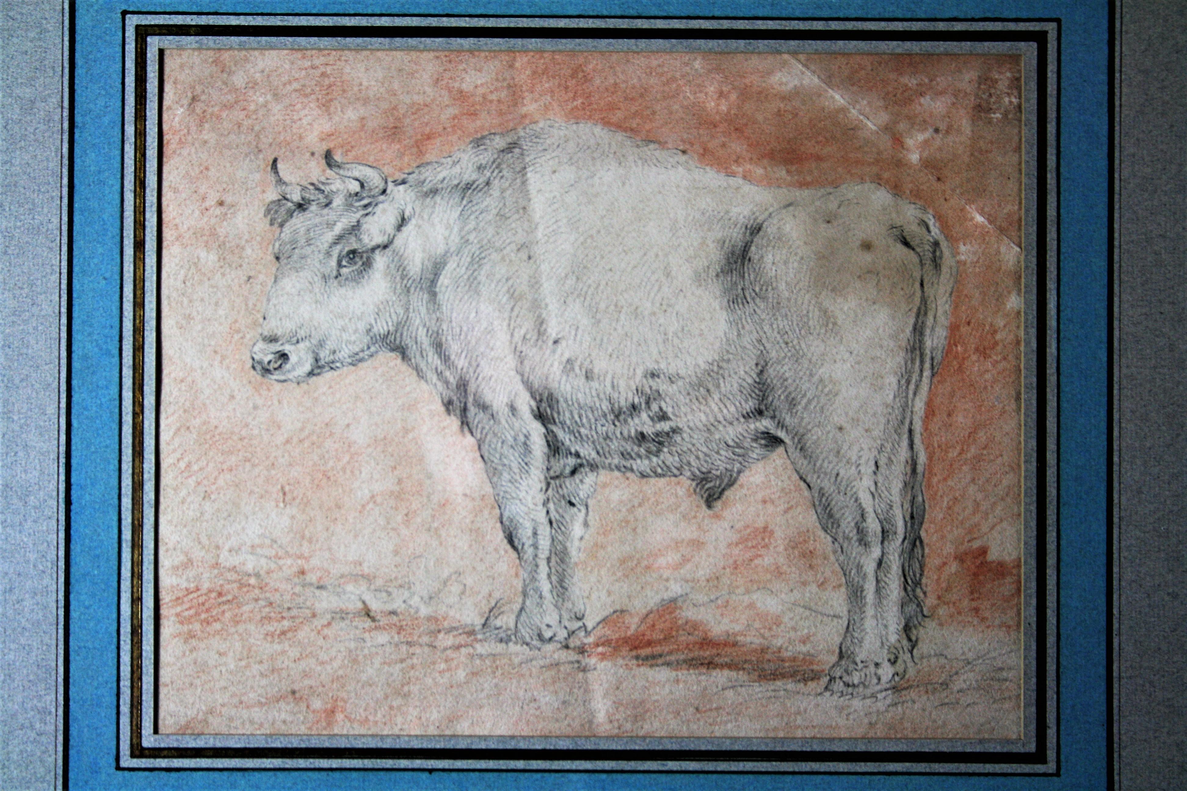 Schöne flämische Zeichnung aus dem 17. Jahrhundert mit Kaltnadel und Rötel, die einen Stier im Profil darstellt. Diese naturalistische Zeichnung greift das Lieblingsthema des Malers Paulus Potter auf, das hier mit einer wichtigen Detailgenauigkeit