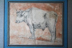 Flemish School, Circle of Paulus Potter Bull Drypoint and Red Chalk 17th Century