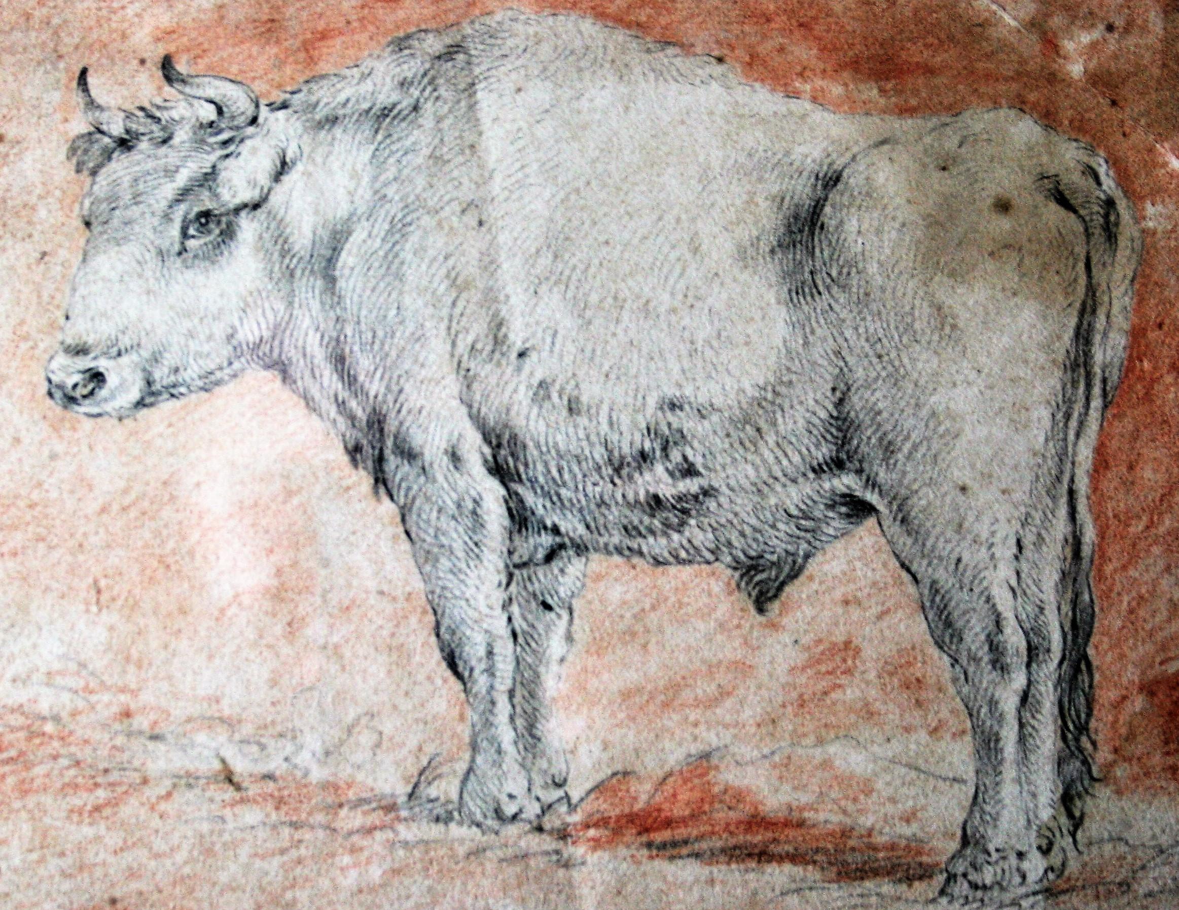 Dutch Flemish School, Circle of Paulus Potter Bull Drypoint and Red Chalk 17th Century For Sale