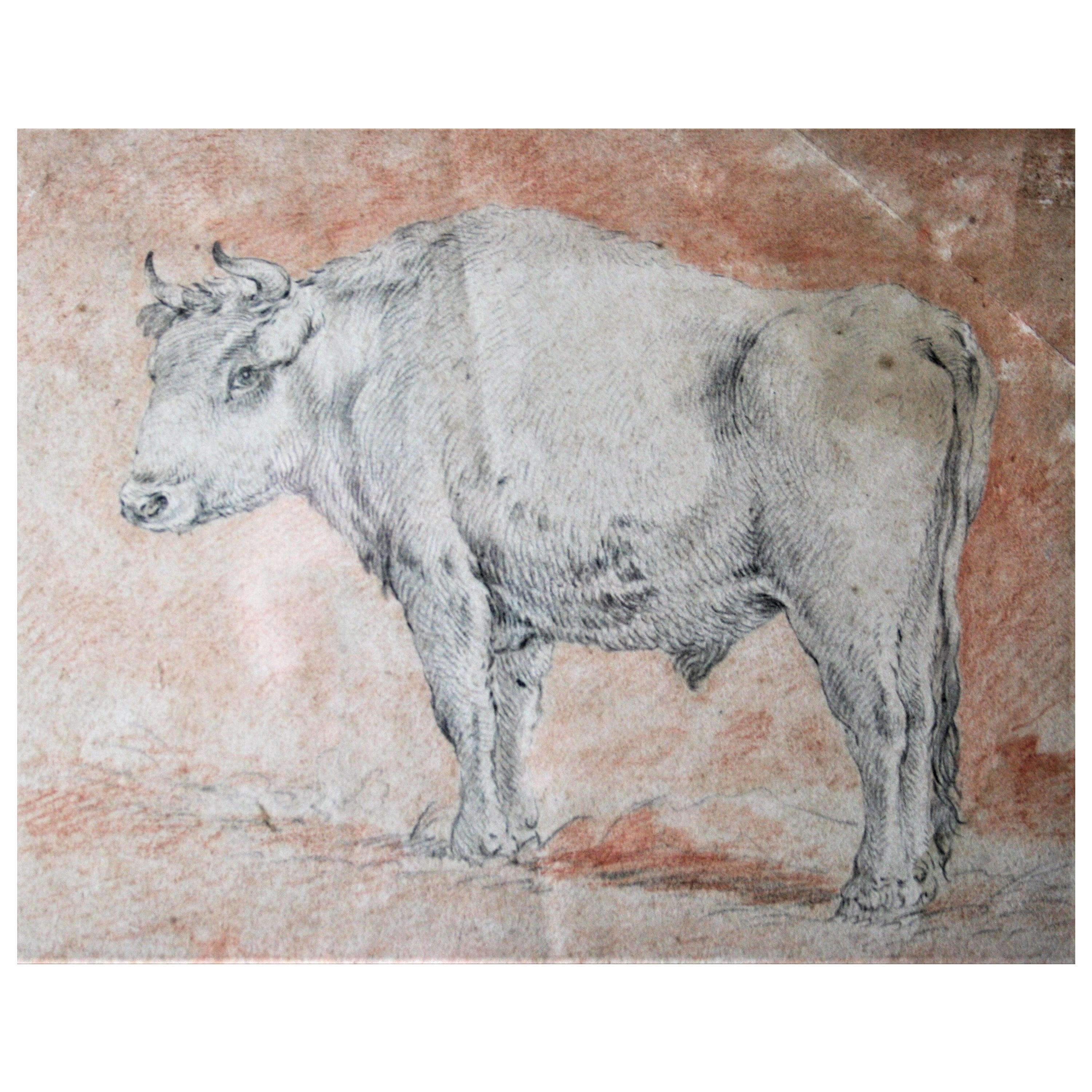 Flemish School, Circle of Paulus Potter Bull Drypoint and Red Chalk 17th Century For Sale