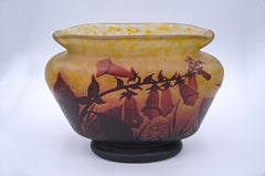 "Fleurs de tabac" vase by Daum Nancy