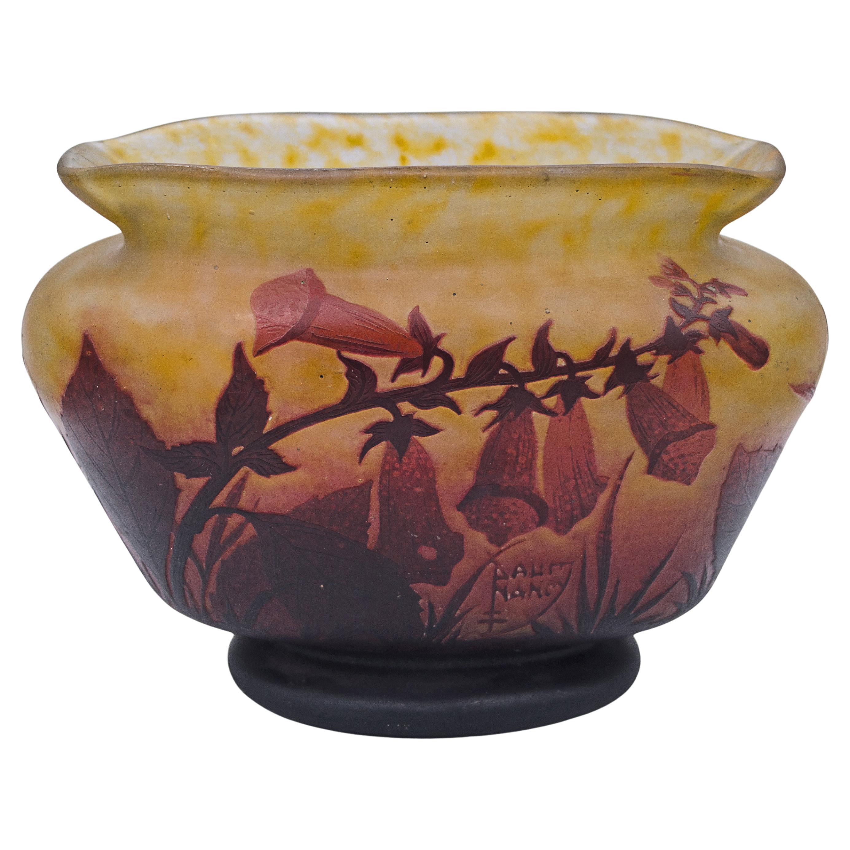 Jarrón "Fleurs de tabac" de Daum Nancy en venta