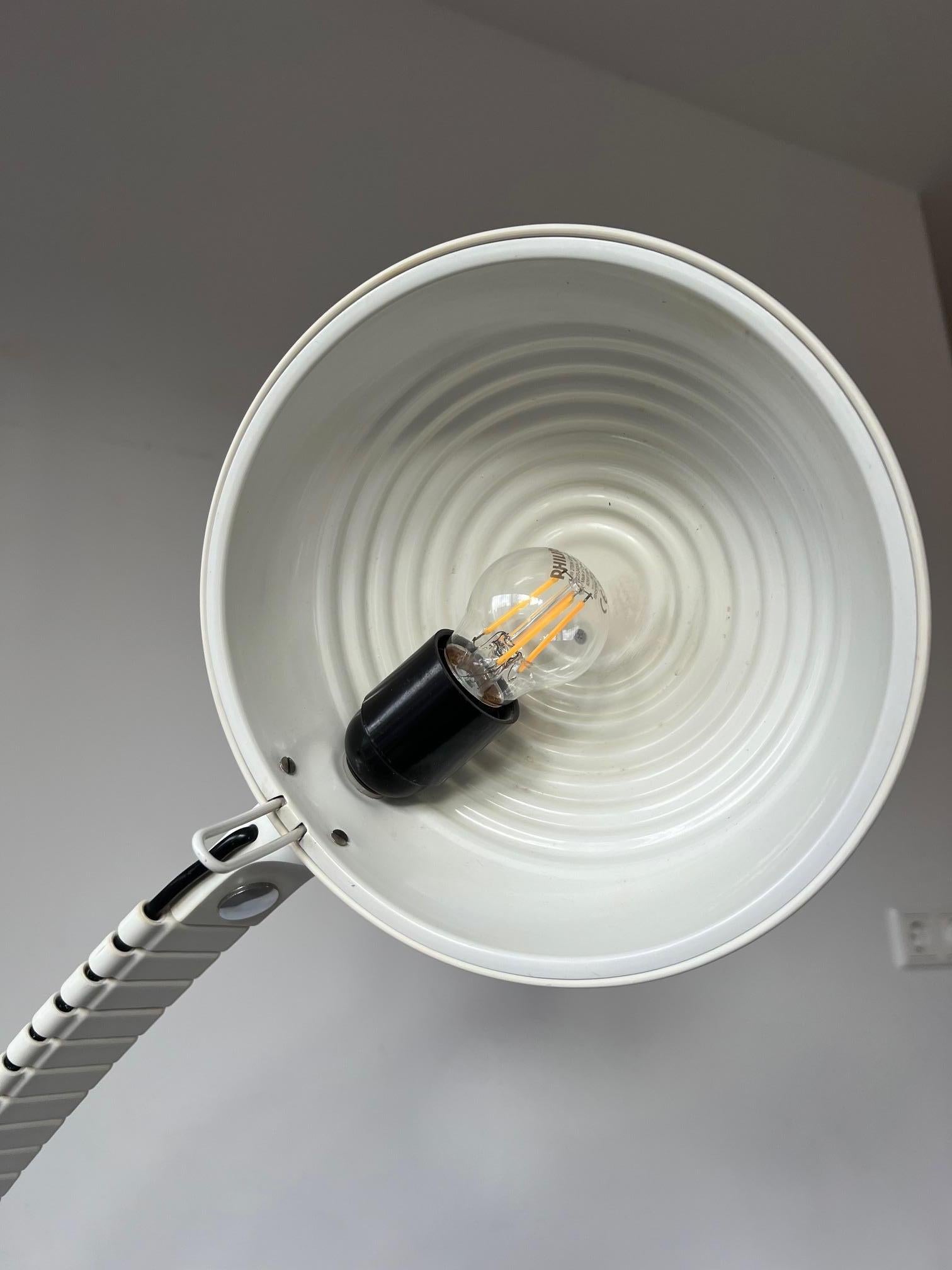 Flex-floorlamp by Elio Martinelli 60's 5