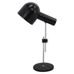 Flexible Table Lamp by Napako, 1960, Restored