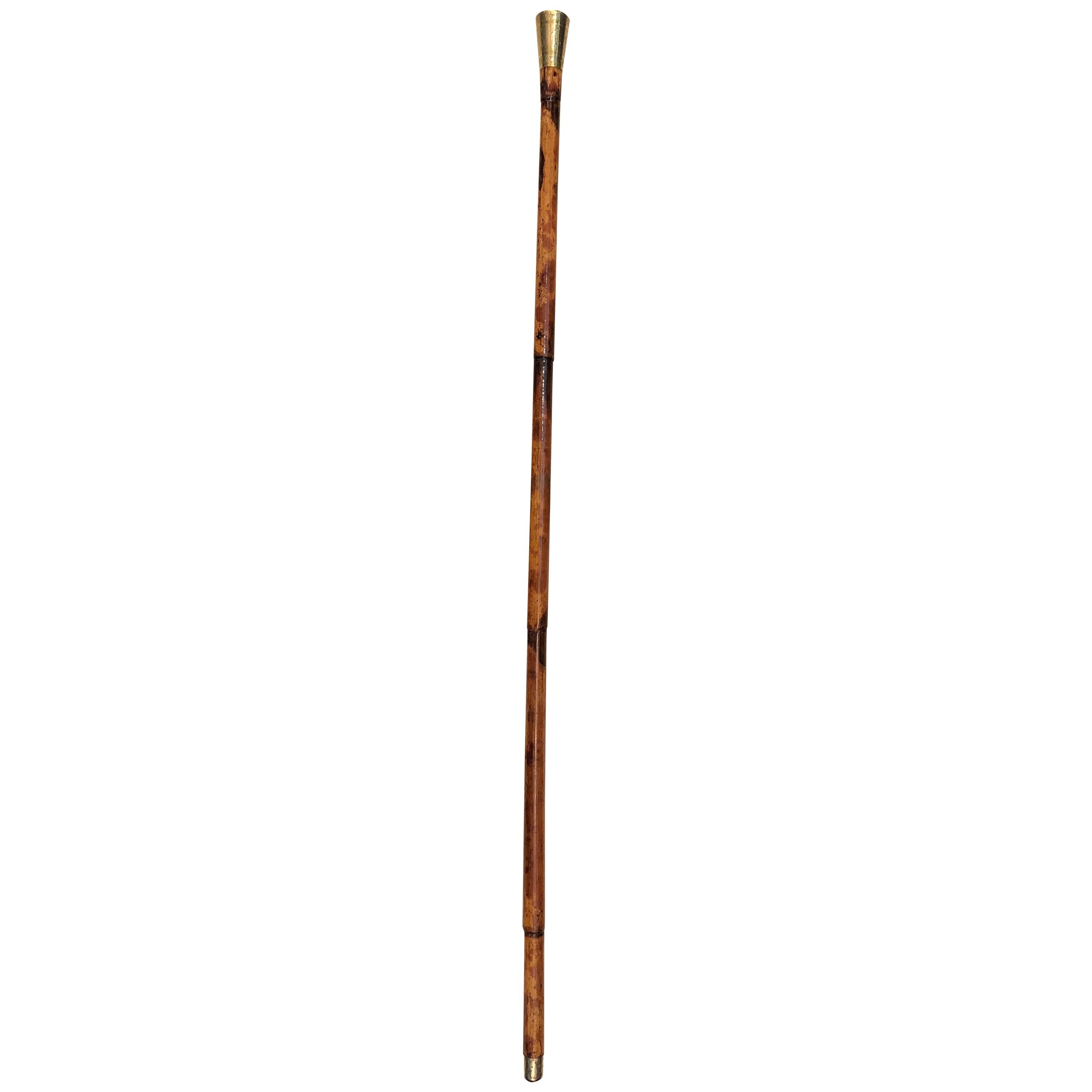 1960 Hop Rod .. Gasoline Powered Pogo Stick at 1stdibs