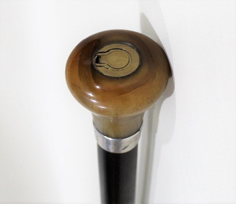 Flicker Dagger Walking Stick Weapon Cane at 1stDibs | dagger cane ...