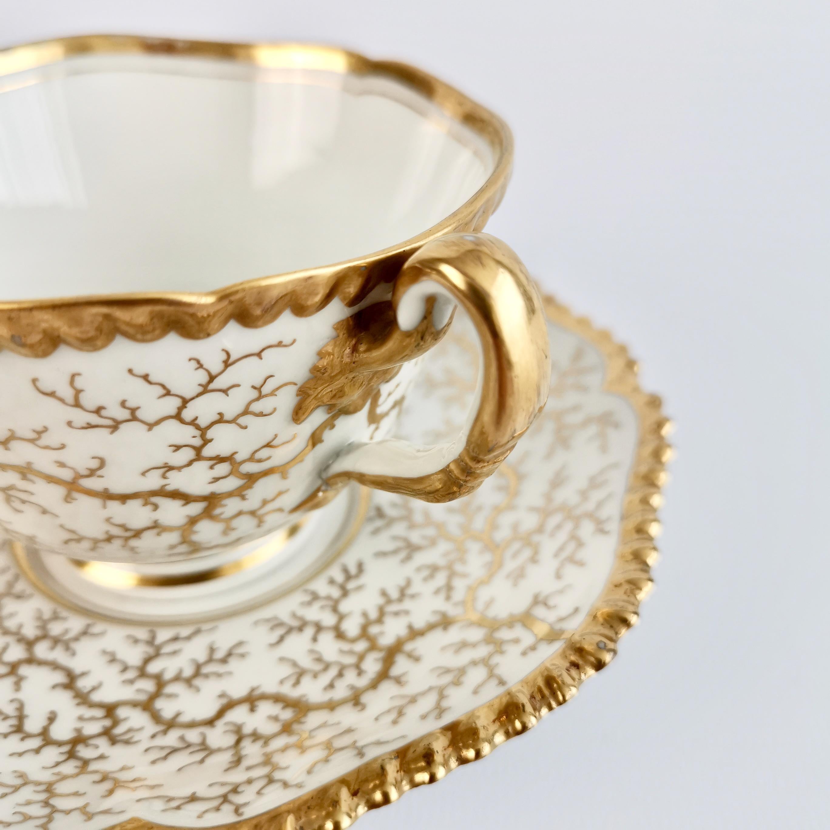Flight Barr & Barr Worcester Porcelain Teacup, Gilt Seaweed, Regency, 1816-1820 4