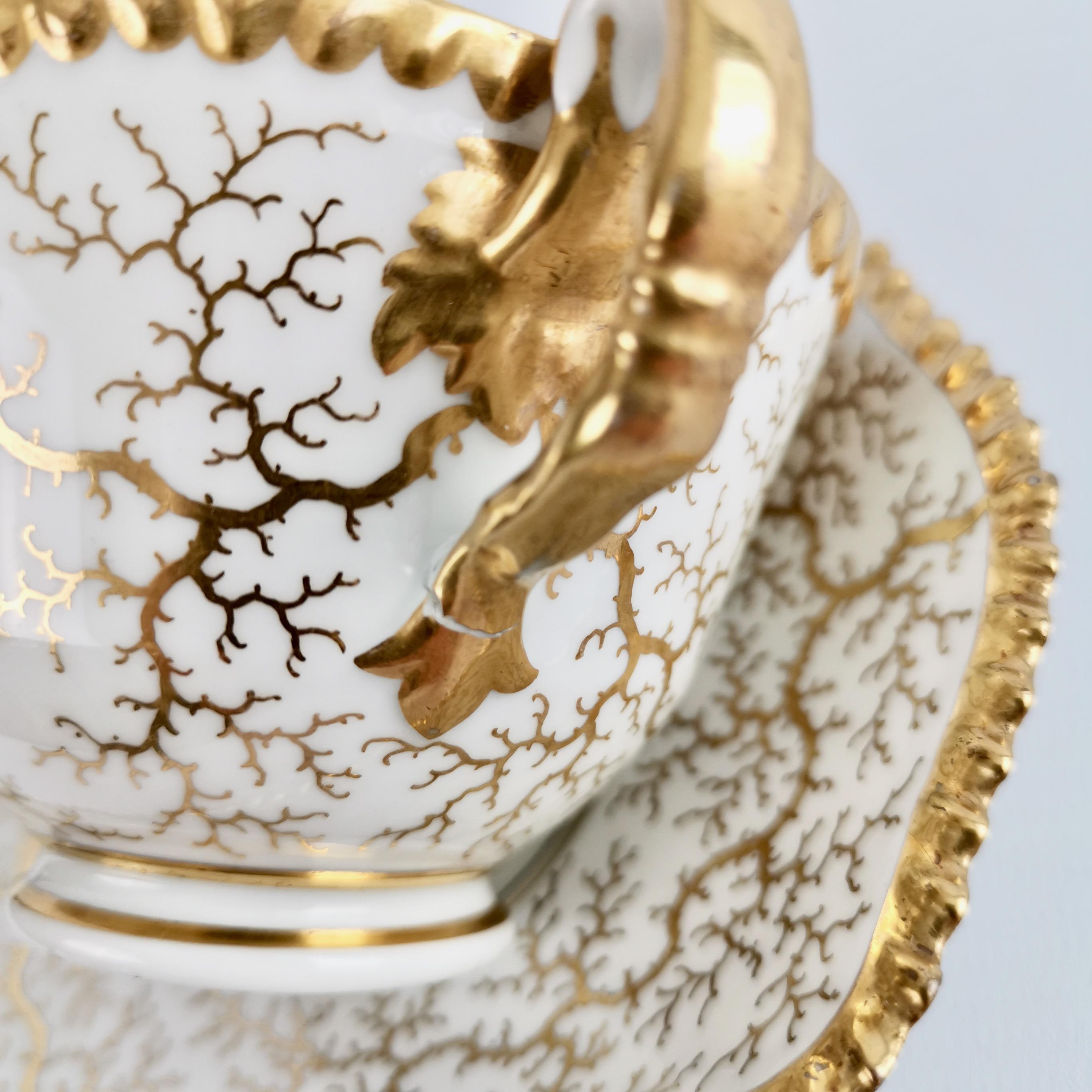 Flight Barr & Barr Worcester Porcelain Teacup, Gilt Seaweed, Regency, 1816-1820 6