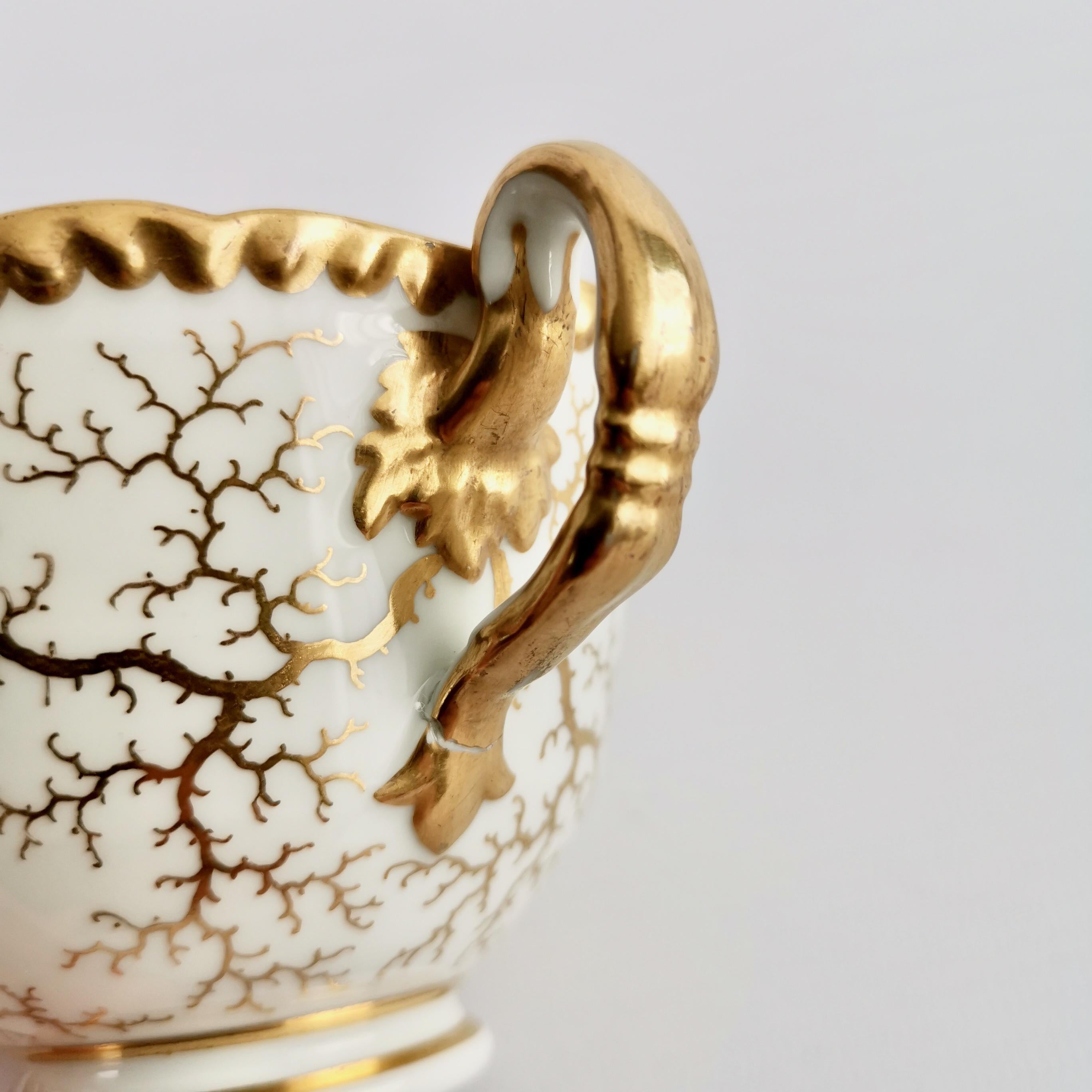 Flight Barr & Barr Worcester Porcelain Teacup, Gilt Seaweed, Regency, 1816-1820 7
