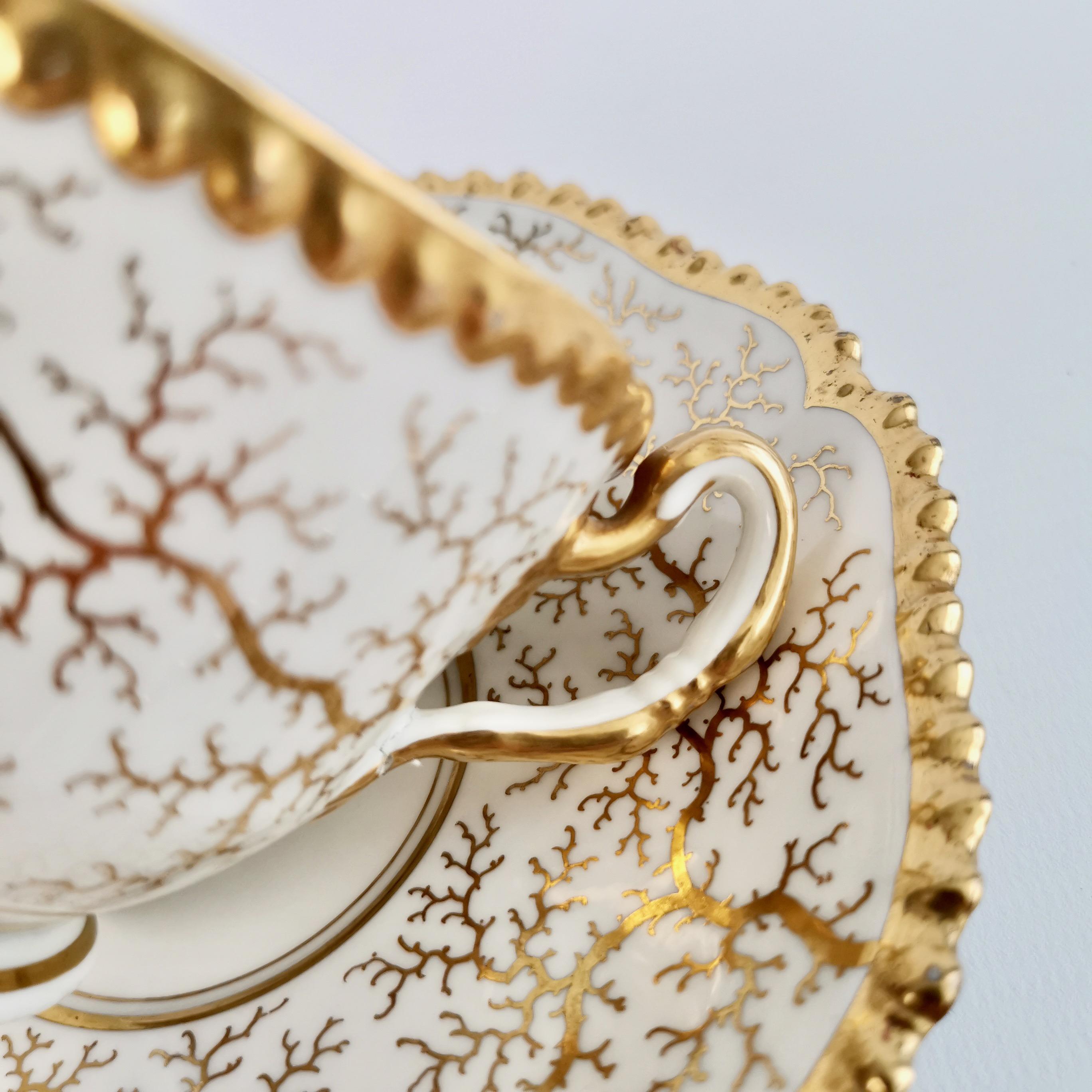 Flight Barr & Barr Worcester Porcelain Teacup, Gilt Seaweed, Regency, 1816-1820 In Good Condition In London, GB