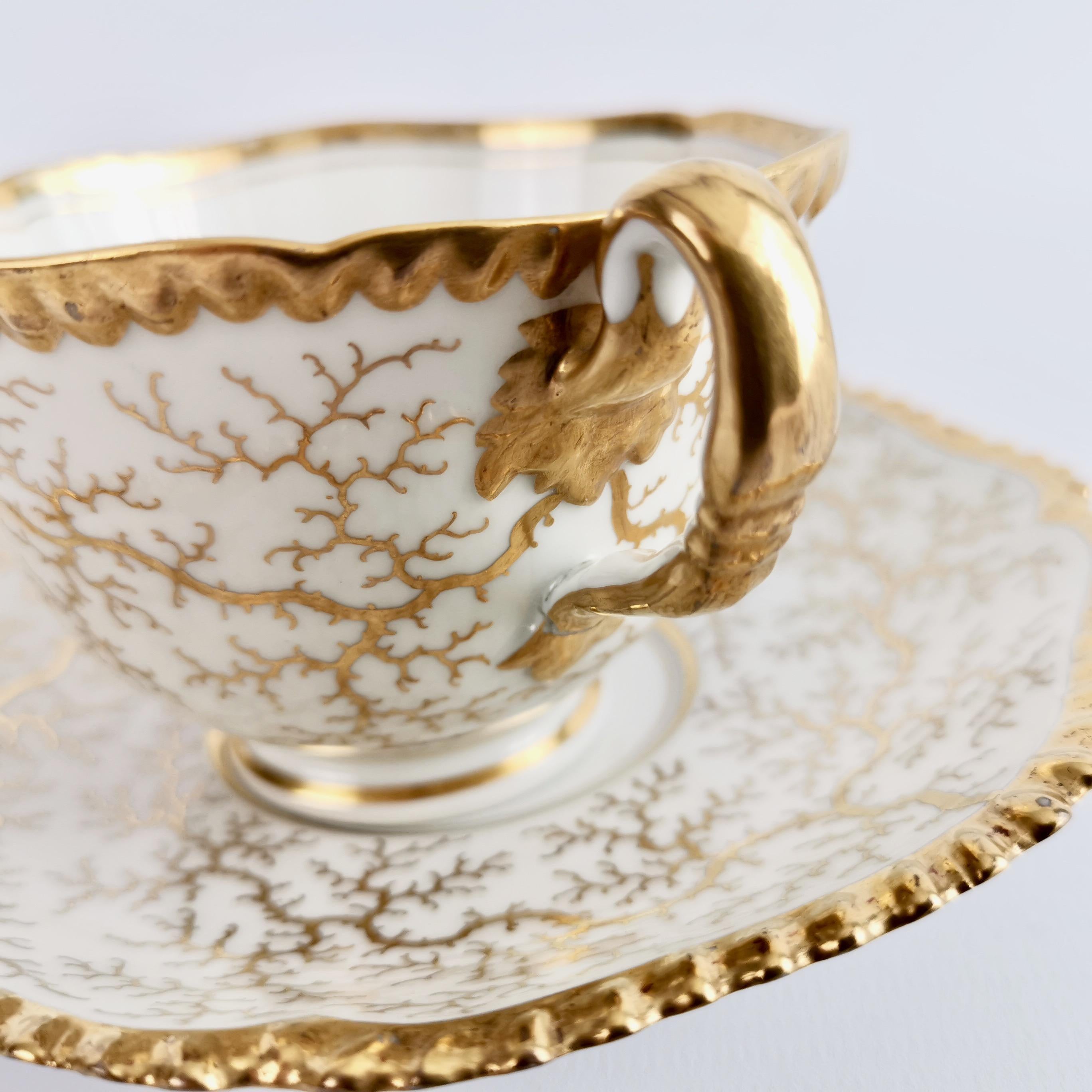 Flight Barr & Barr Worcester Porcelain Teacup, Gilt Seaweed, Regency, 1816-1820 1
