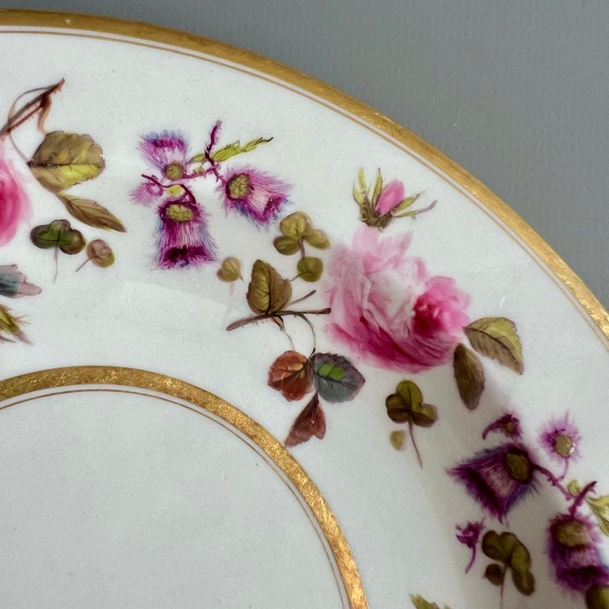 Vuelo Barr & Barr Tazón de bayas, rosas y cardos de W. Billingsley, 1813 Porcelana en venta