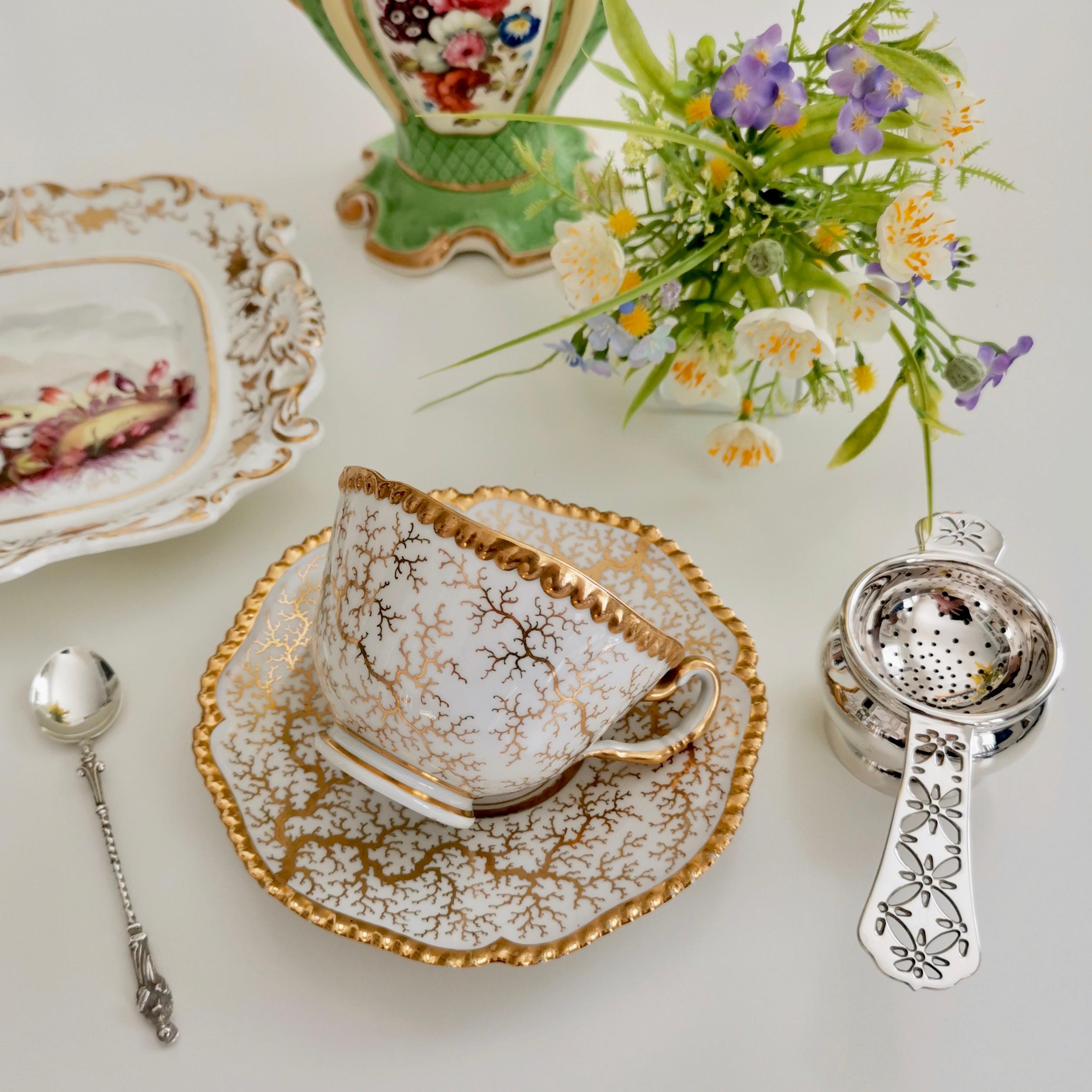 This is a beautiful teacup and saucer made by Flight, Barr & Barr between 1816 and 1820. The set is decorated with the characteristic gilt seaweed pattern.

Flight, Barr & Barr was the continuation of the famous Worcester Porcelain Company. In fact