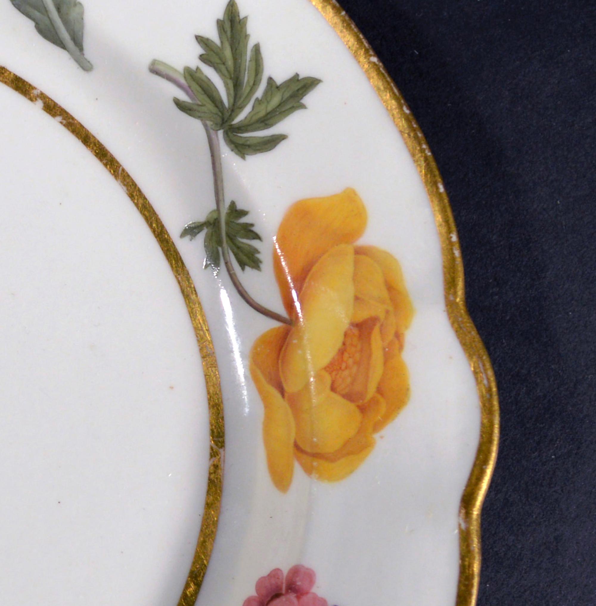 Flight & Barr Worcester Botanischer Porzellanteller,
Um 1792-1800

Die Flight & Barr Porzellan Dessertteller hat eine einfache lila Blume in der Mitte mit einer vergoldeten Linie umgeben. Der breite, geformte Rand ist fein mit drei verschiedenen,