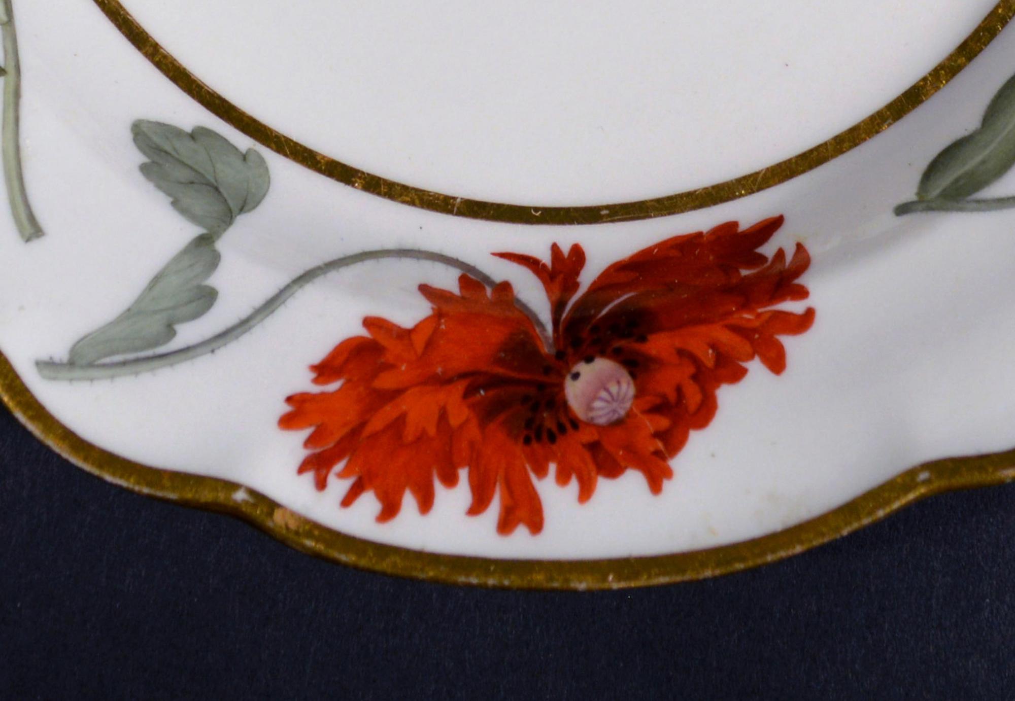 Regency Flight & Barr Worcester Botanical Porcelain Plate For Sale