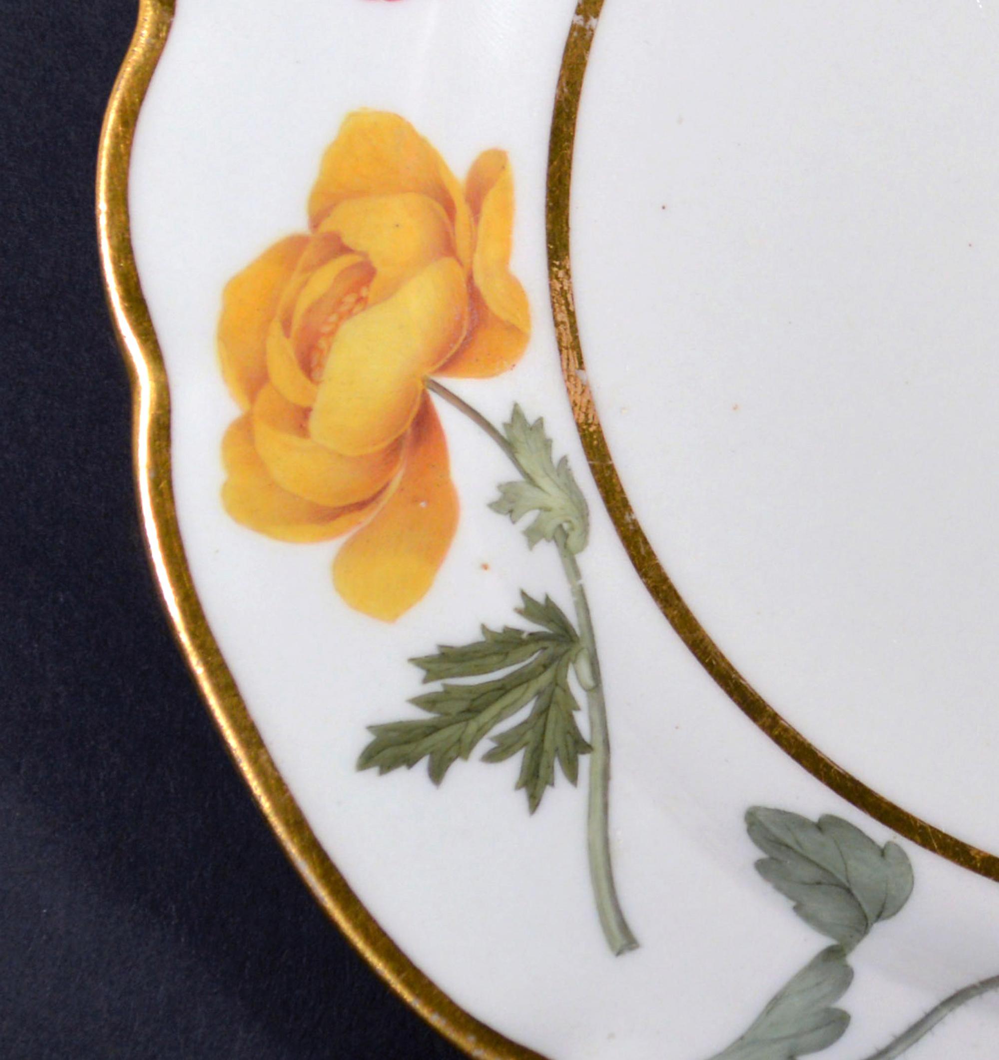 English Flight & Barr Worcester Botanical Porcelain Plate For Sale