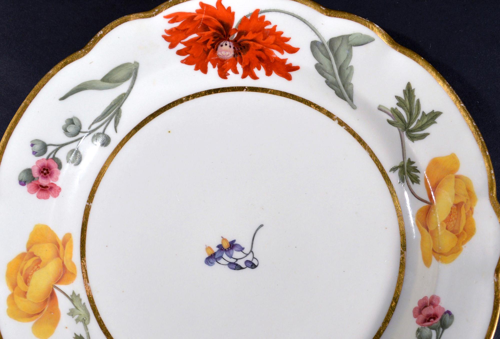 18th Century Flight & Barr Worcester Botanical Porcelain Plate For Sale